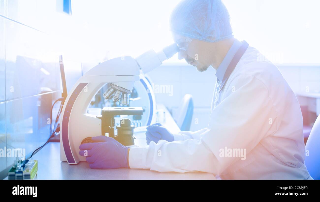 Cytological and morphological examination in the laboratory Stock Photo