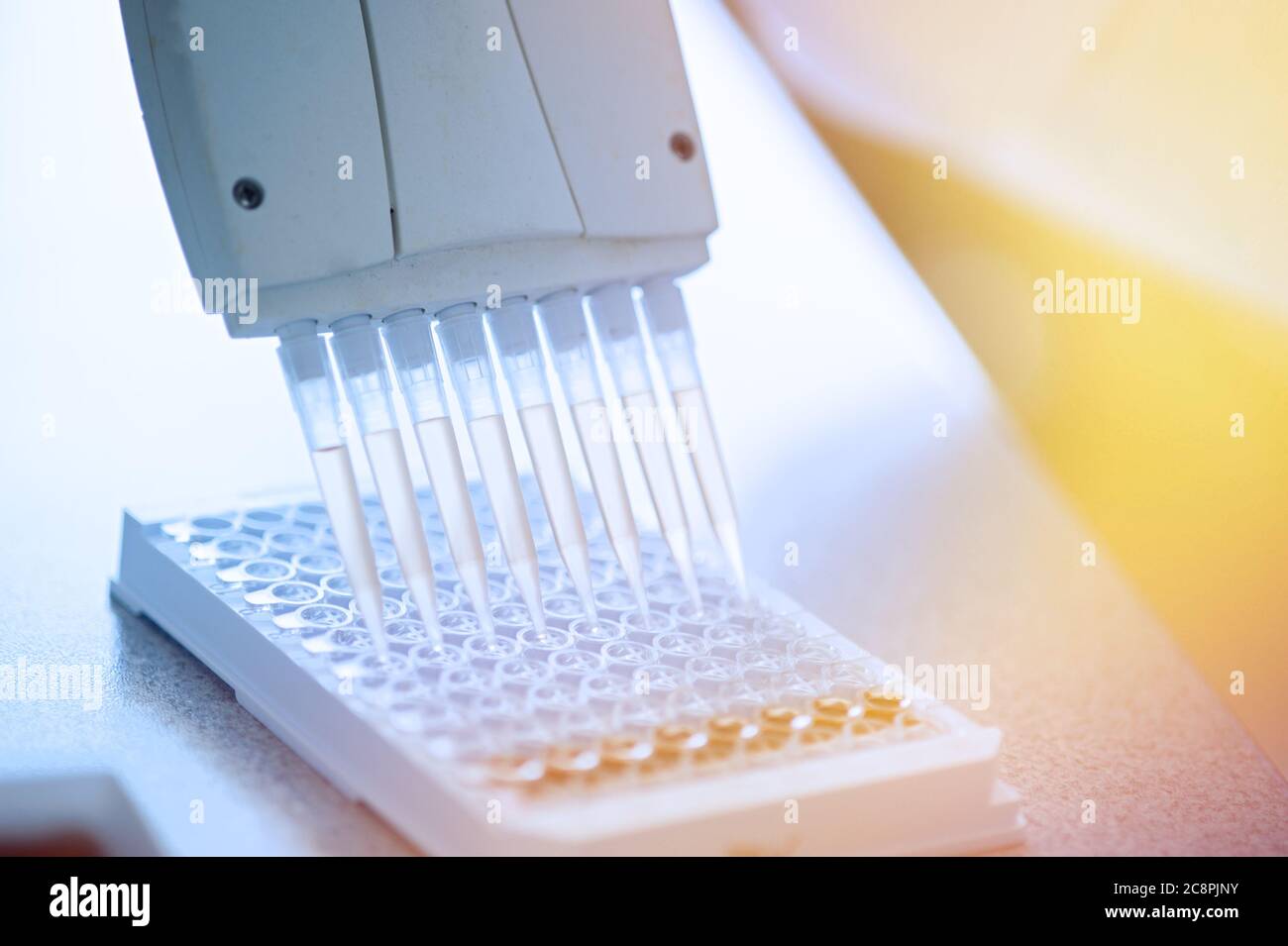 Variable volume multichannel pipette. Medical worker, scientist