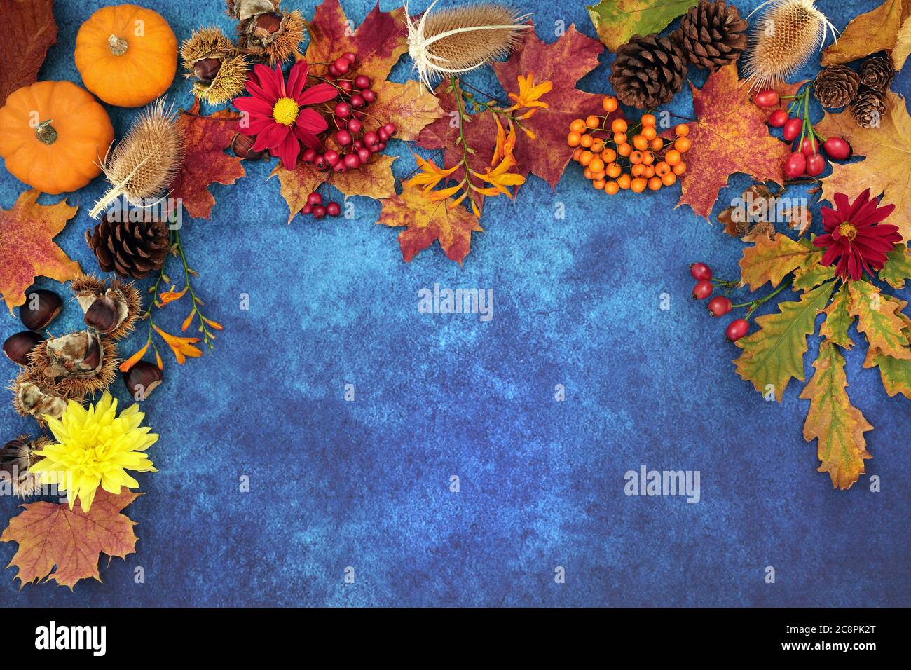Autumn harvest festival background border with food, flora and fauna on mottled blue grunge background. Top view. Stock Photo