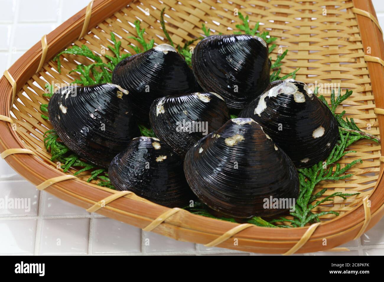big size japanese basket clams on bamboo tray, food ingrediets Stock Photo