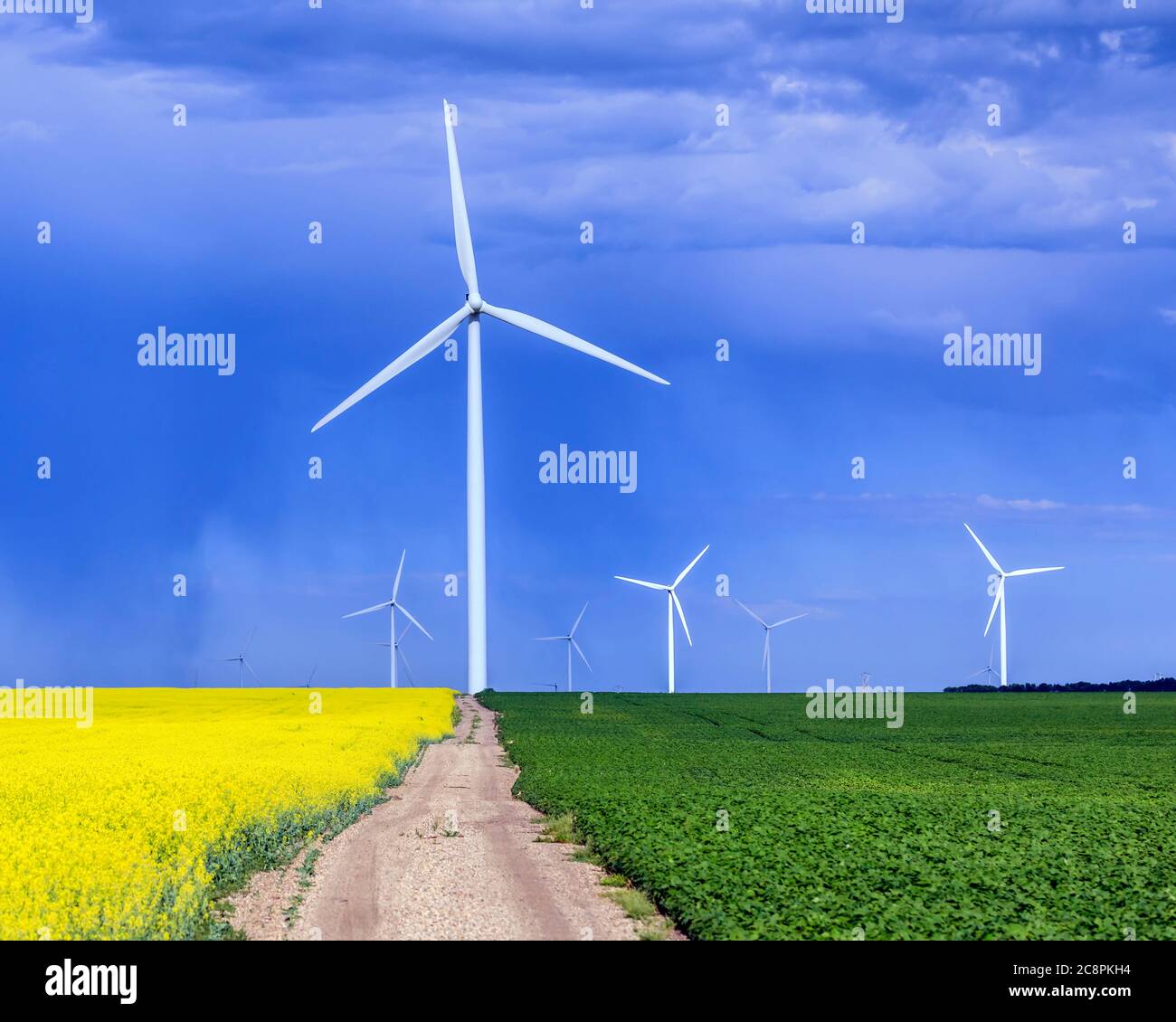 Wind energy turbines, St. Leon, Manitoba, Canada. Stock Photo