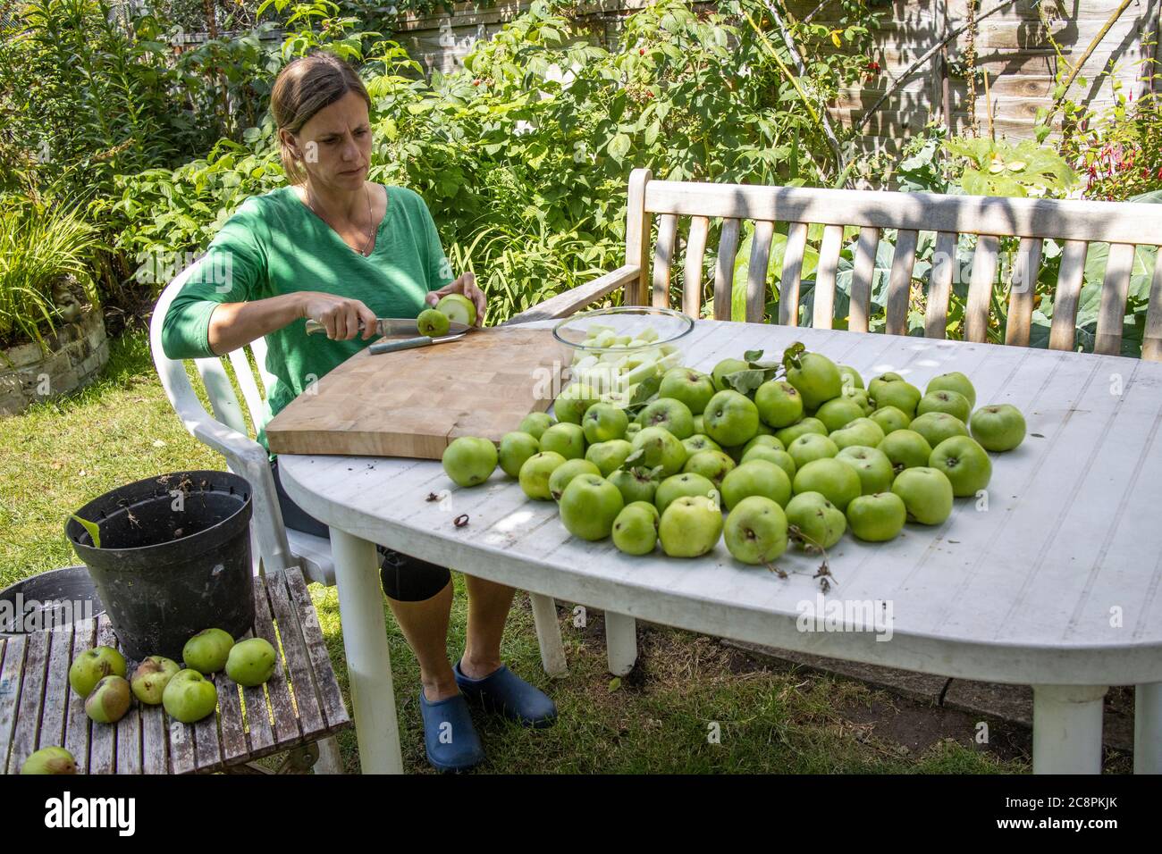 Family preparing home grown organic cooking apples in their back garden