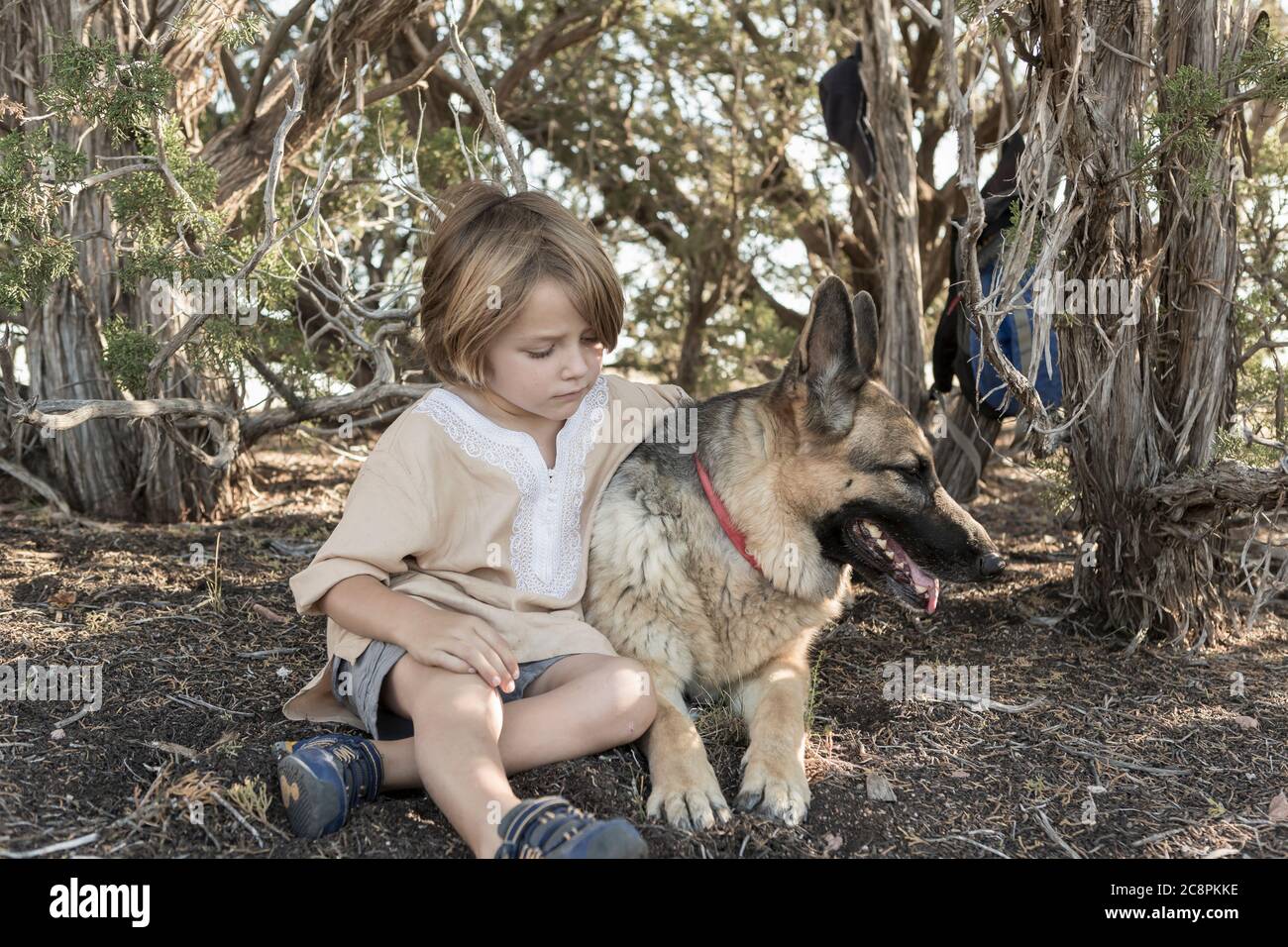 German shepherd hiking deals