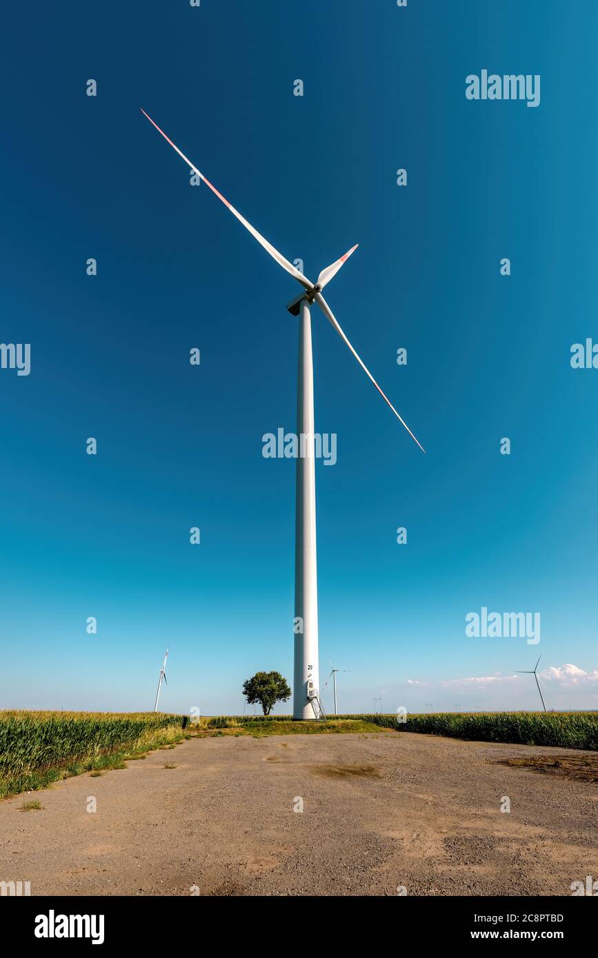 Large with turbine and small tree in field, renewable energy and sustainable resources Stock Photo