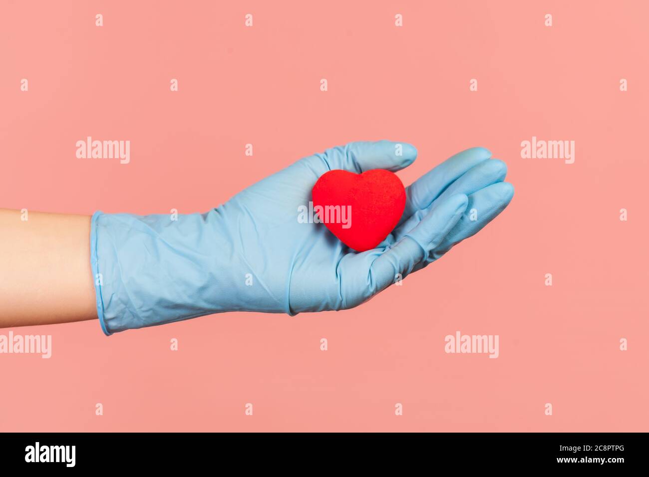 Profile side view closeup of human hand in blue surgical gloves holding small red heart shape in hand. indoor, studio shot, isolated on pink backgroun Stock Photo
