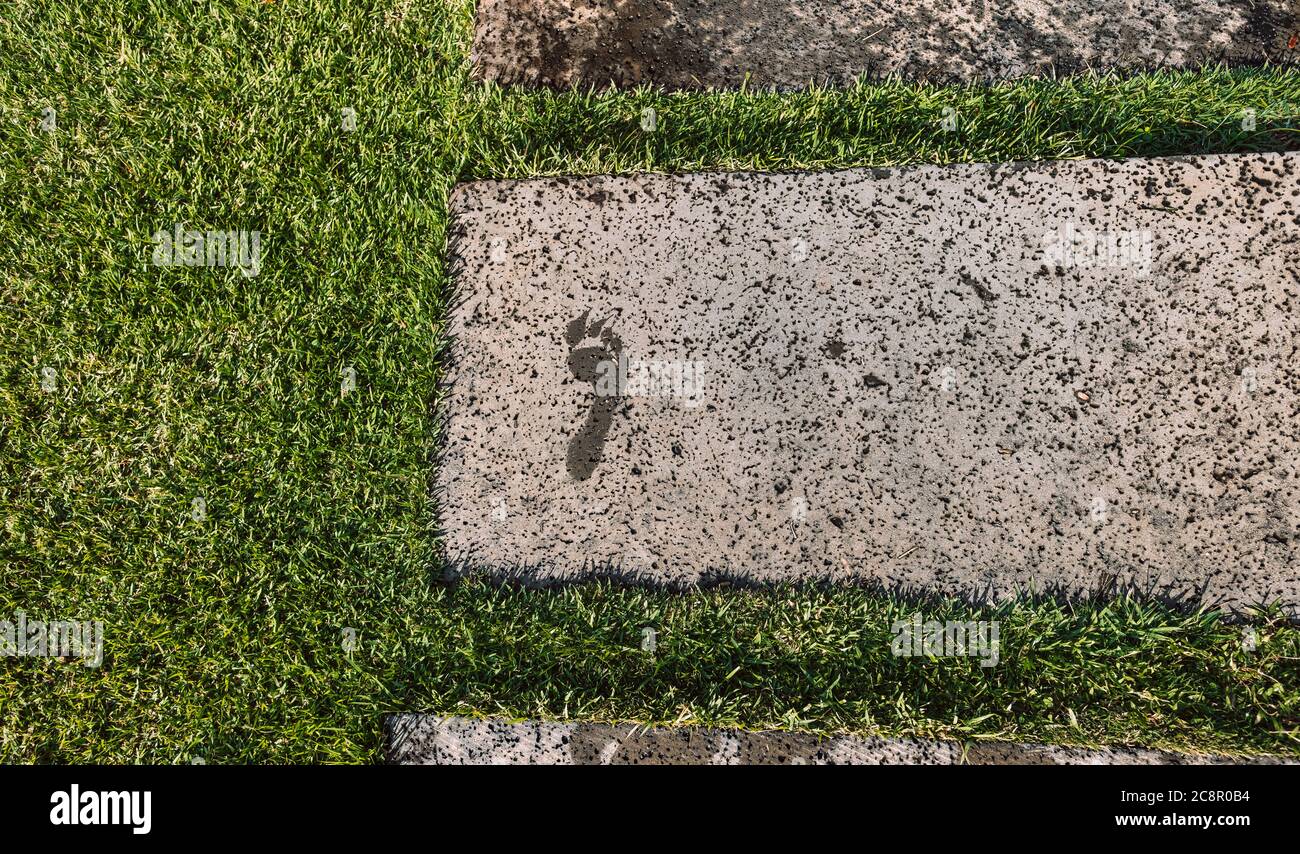 Wet footprint of a human foot on a stone path surrounded by green grass. Stock Photo