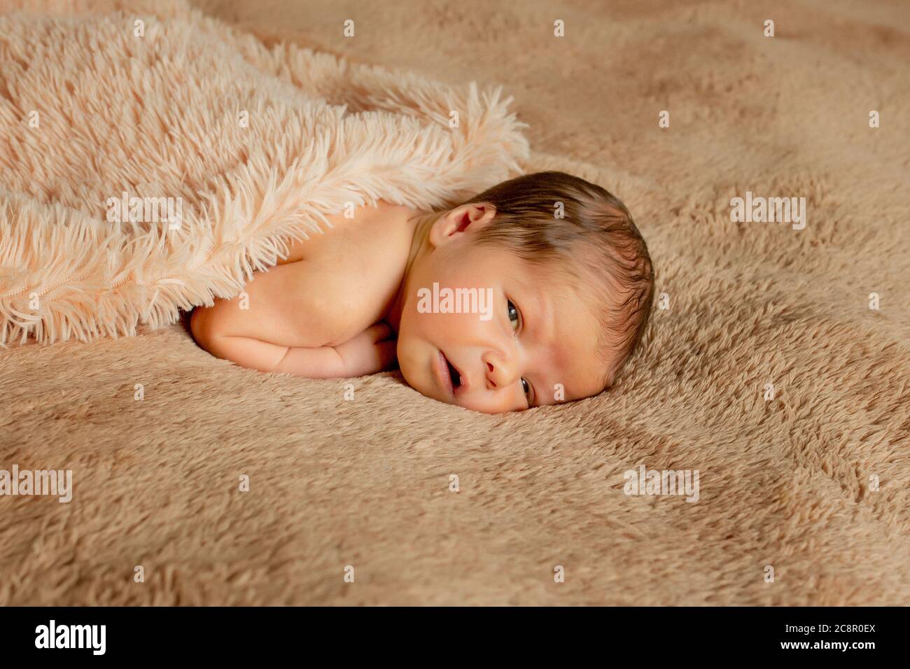 Propped on elbows hires stock photography and images Alamy