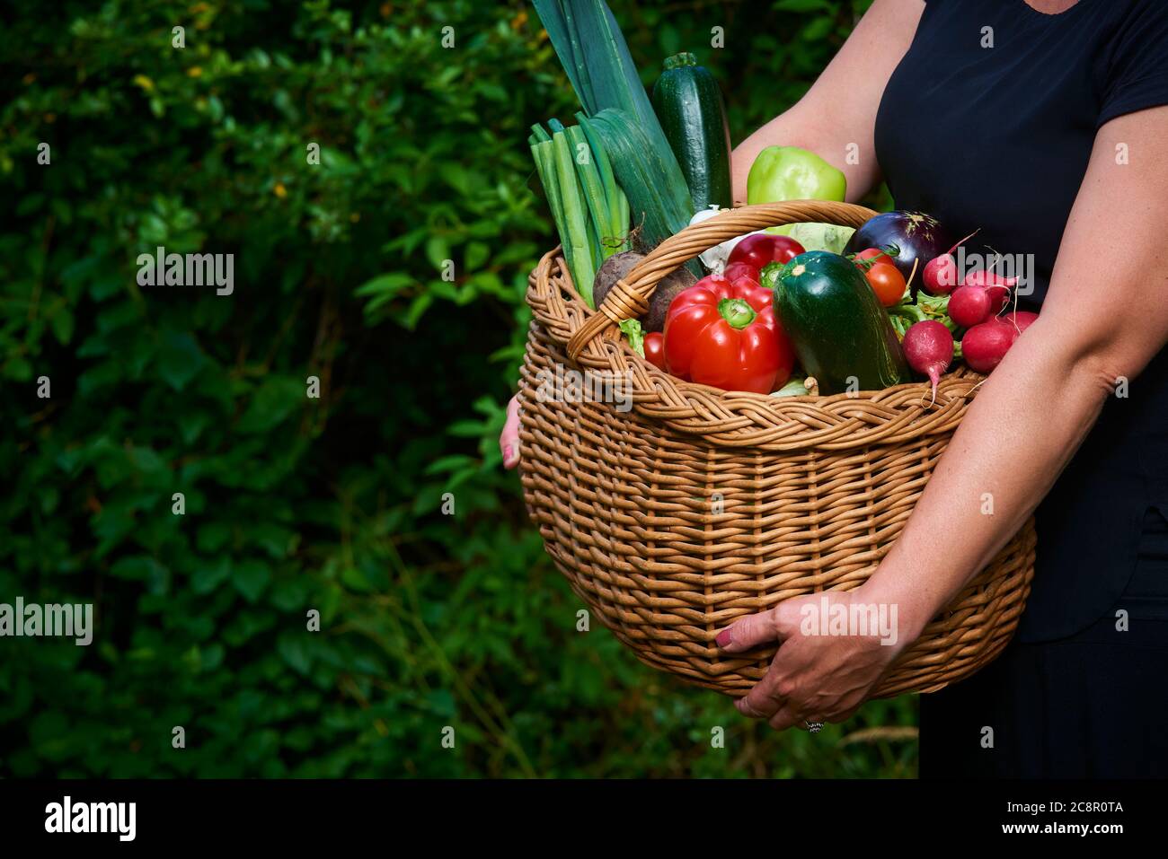 Farmer woman holding wicker basket full of fresh raw vegetables. Basket ...