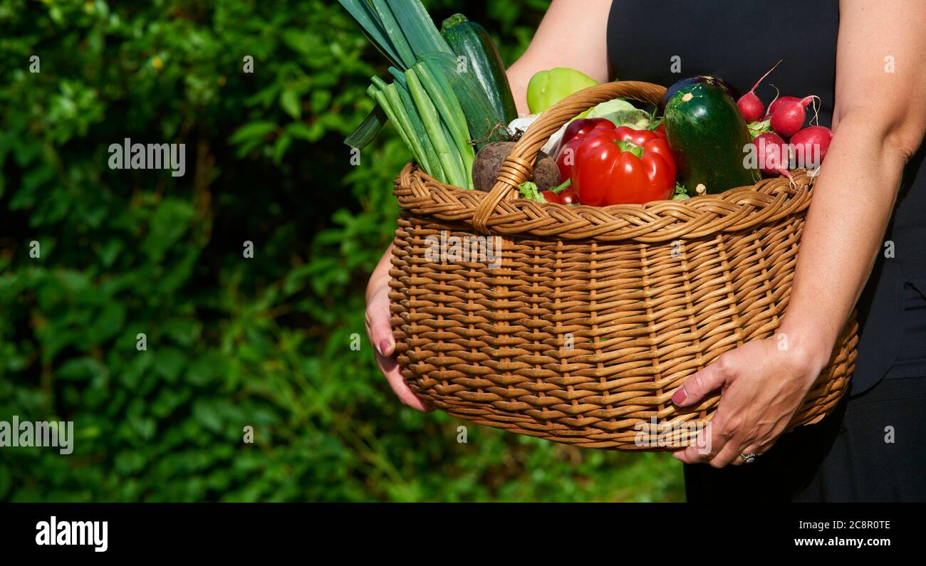 Farmer woman holding wicker basket full of fresh raw vegetables. Basket ...