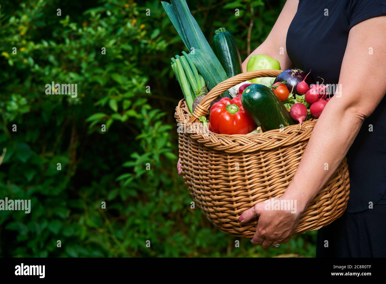 Farmer woman holding wicker basket full of fresh raw vegetables. Basket ...