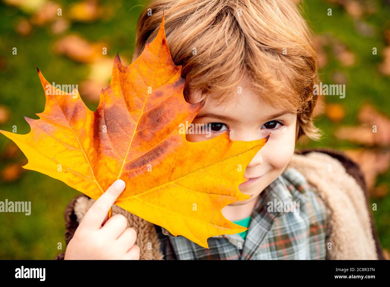 Child covers his eyes with a yellow maple leaf in the autumn park. Happy kid, little boy, playing in beautiful autumn park on warm fall day. Kids play Stock Photo