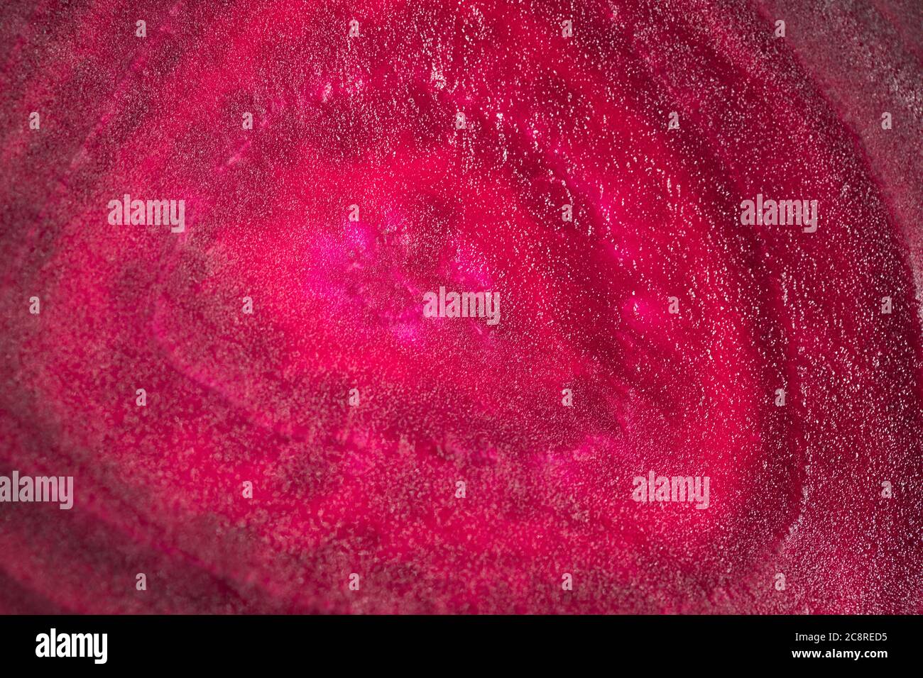 Beetroot cross sections, natural red colour Stock Photo