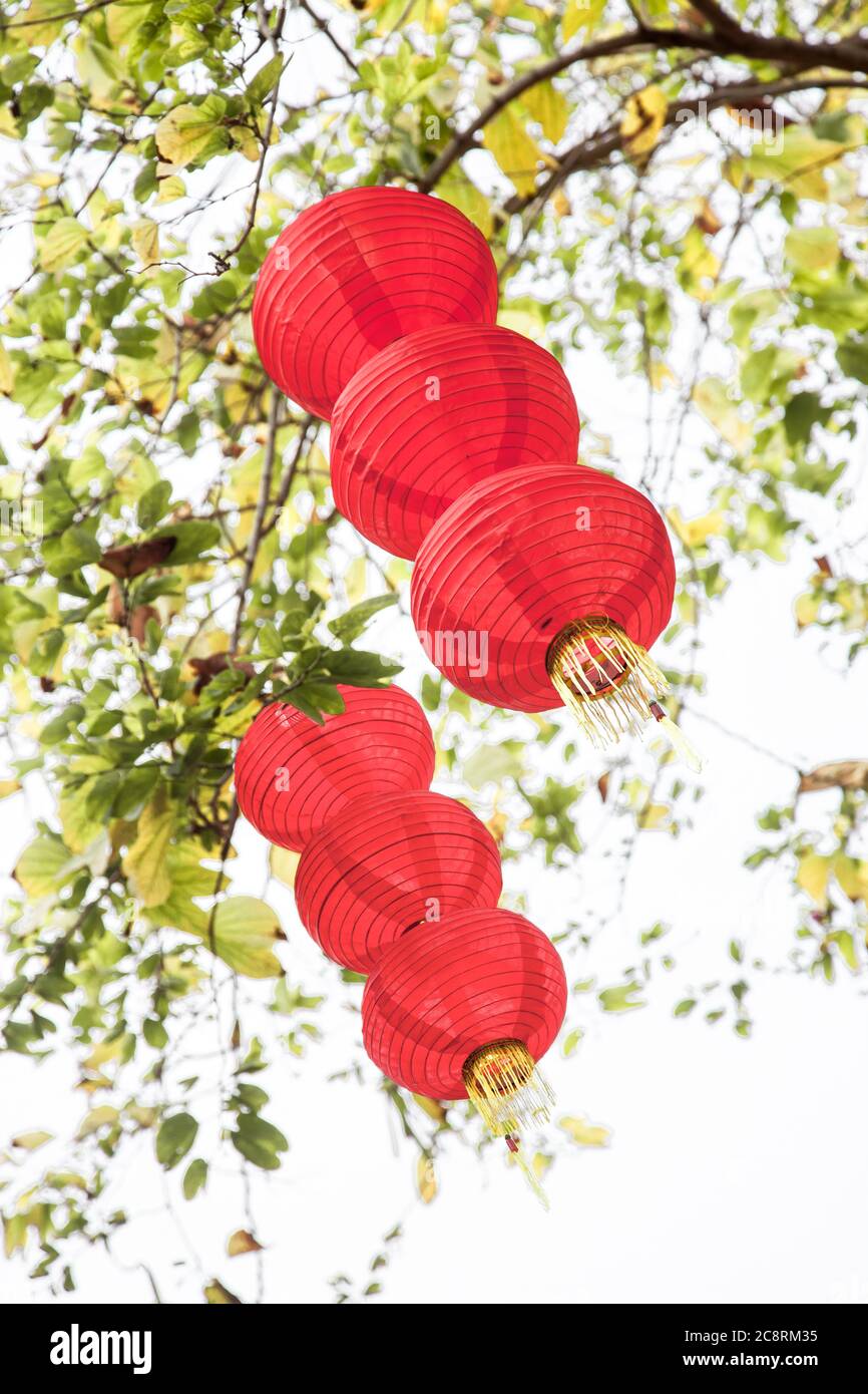 Handmade Fabric red lanterns hanging on tree for Chinese new year in a ...