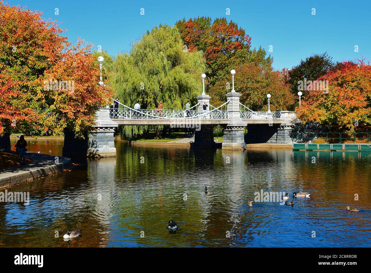 Boston Public Garden in Boston, Massachusetts Stock Photo