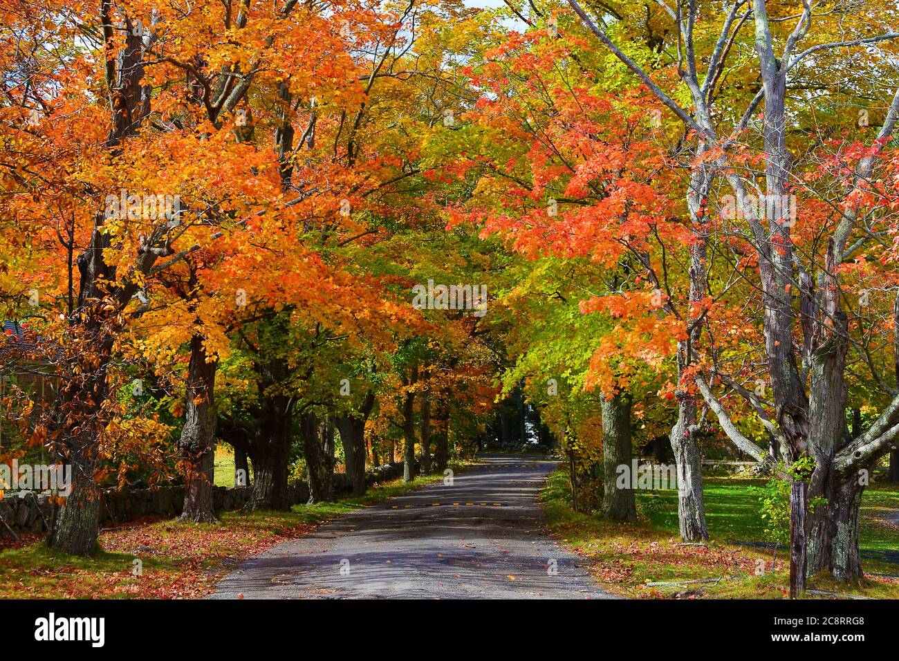 Fall Color in Ipswich, Massachusetts Stock Photo
