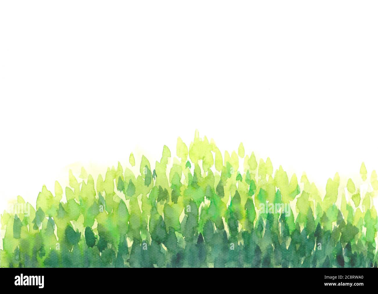 abstract watercolor hand painting green leaves, forest frame on white ...