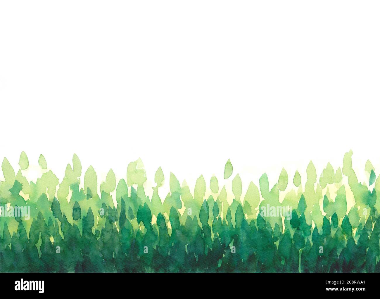 abstract watercolor hand painting green leaves, forest frame on white