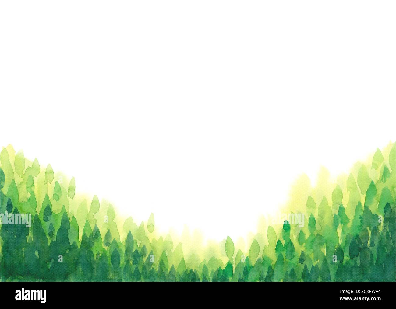 abstract watercolor hand painting green leaves, forest frame on white ...
