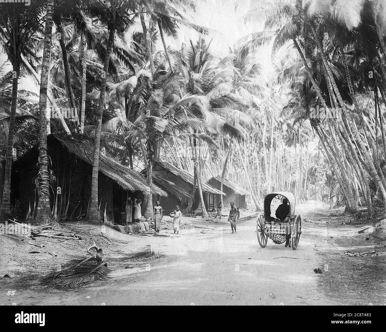 Шри ланка колония. Шри Ланка 1948. Цейлон в 19 веке. Коломбо Цейлон. Цейлон 18 век.