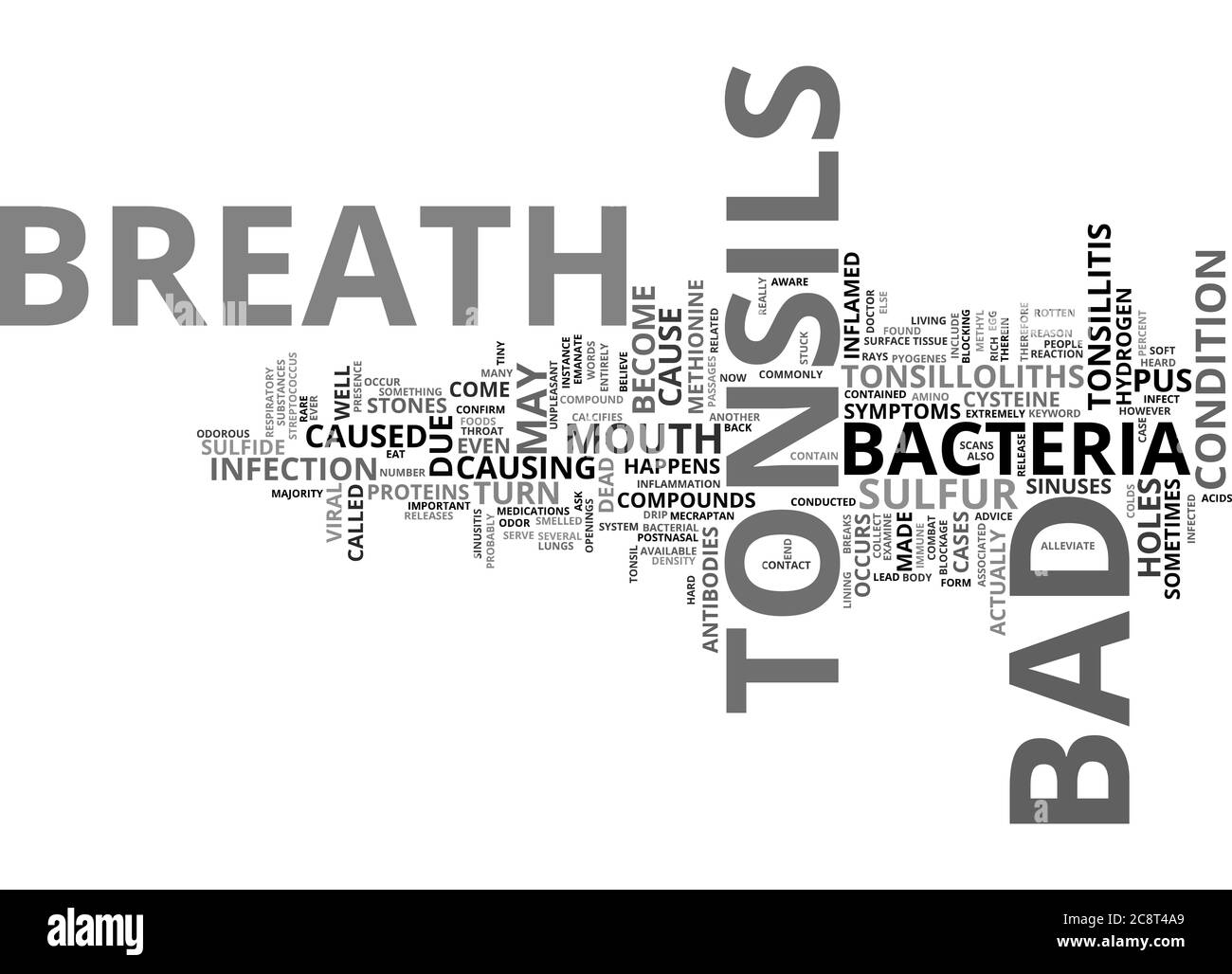 Sulfur Rich Foods High Resolution Stock Photography and Images Alamy