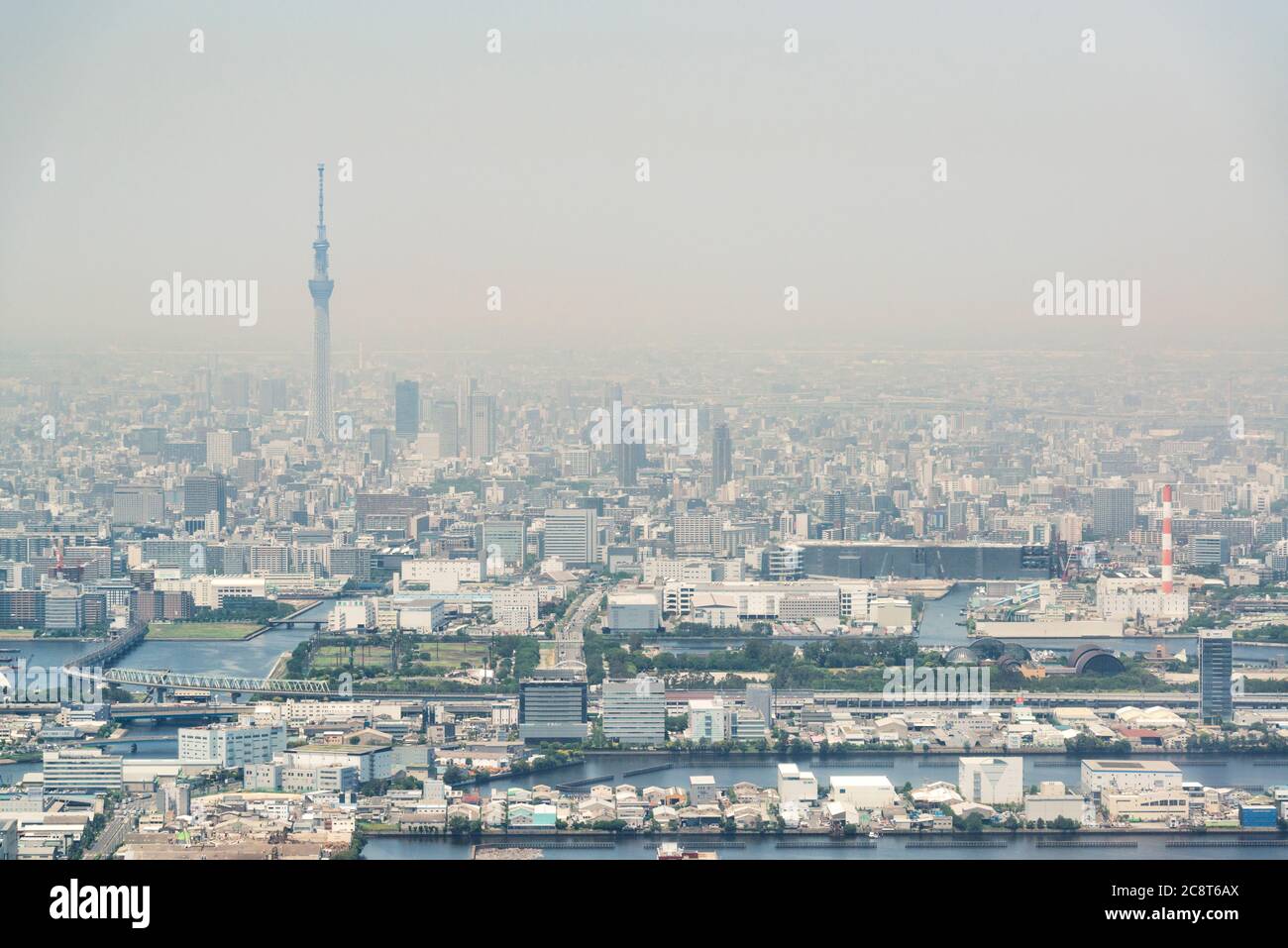 Aerial view of Tokyo city tower, skyscrapers, smog in the air Stock Photo