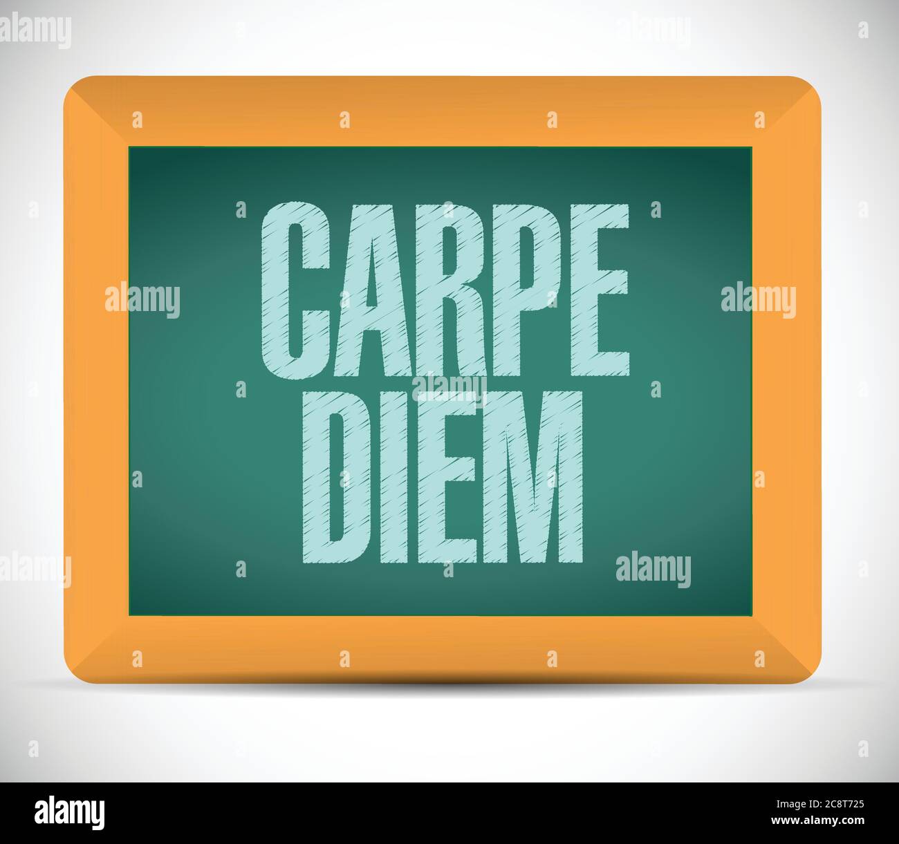 Carpe diem sign message blackboard illustration design over a white