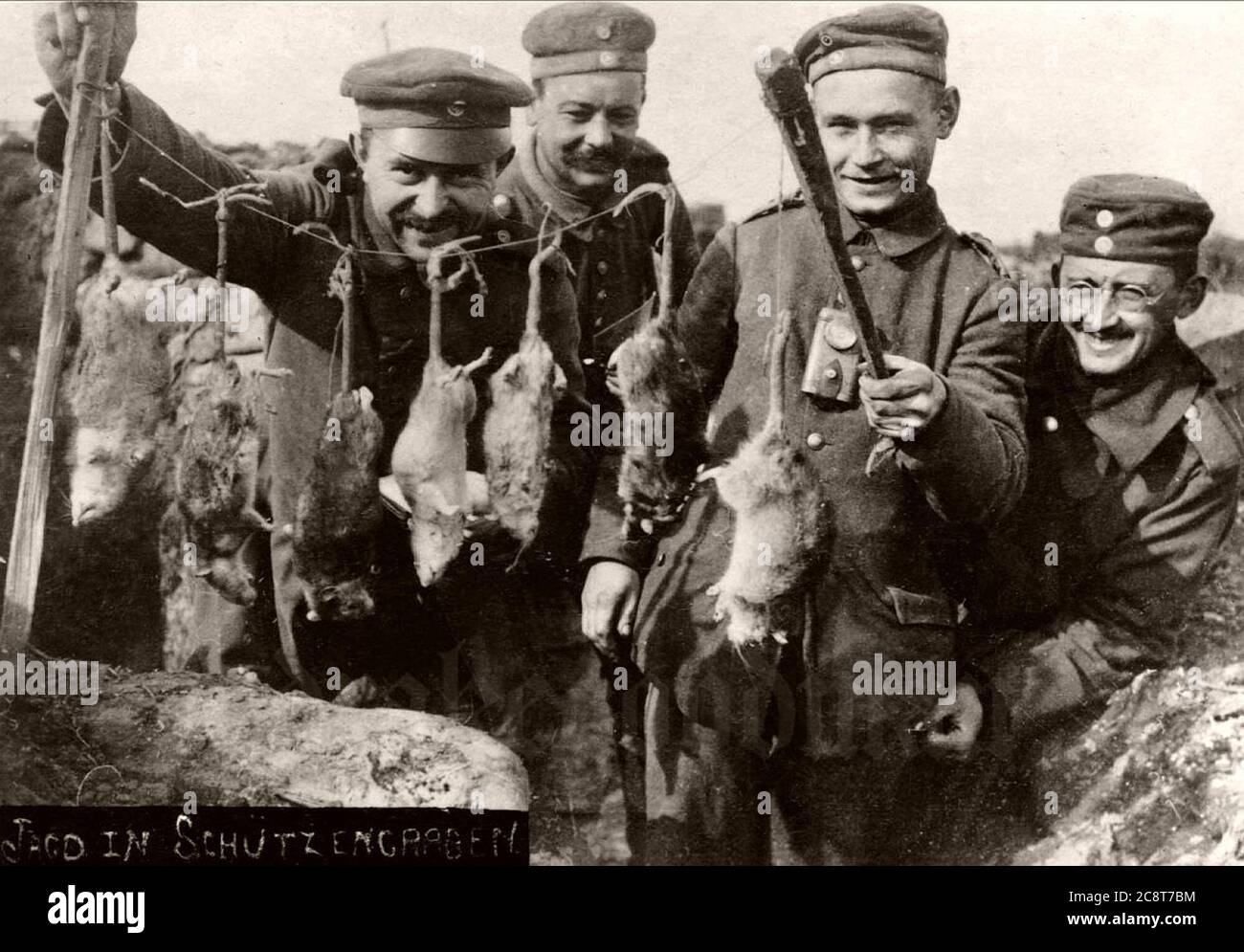 vintage-trench-rats-killed-by-terriers-during-world-war-i-01 Stock Photo