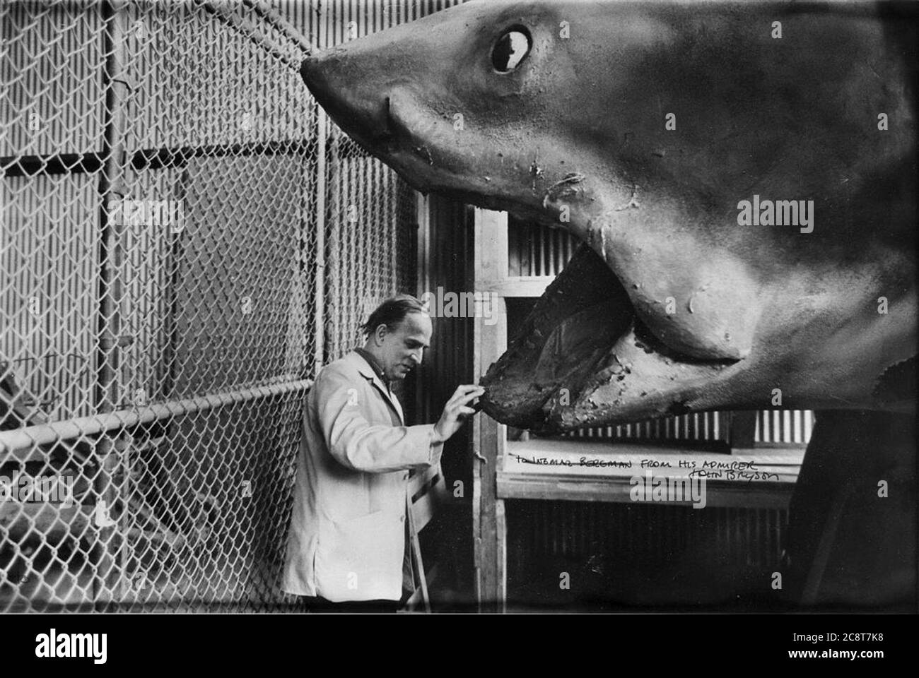 Jaws film behind the scenes hi-res stock photography and images - Alamy