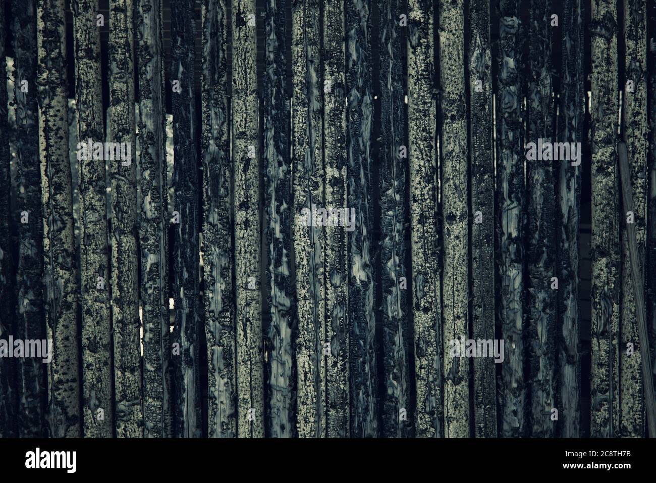 A close up infrared view of a fence made from tree limbs Stock Photo ...