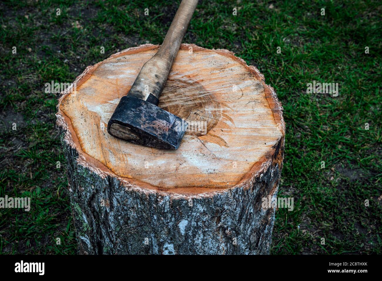 axe lies on a log. Timber harvesting. deforestation. Axe and log in the counry house Stock Photo