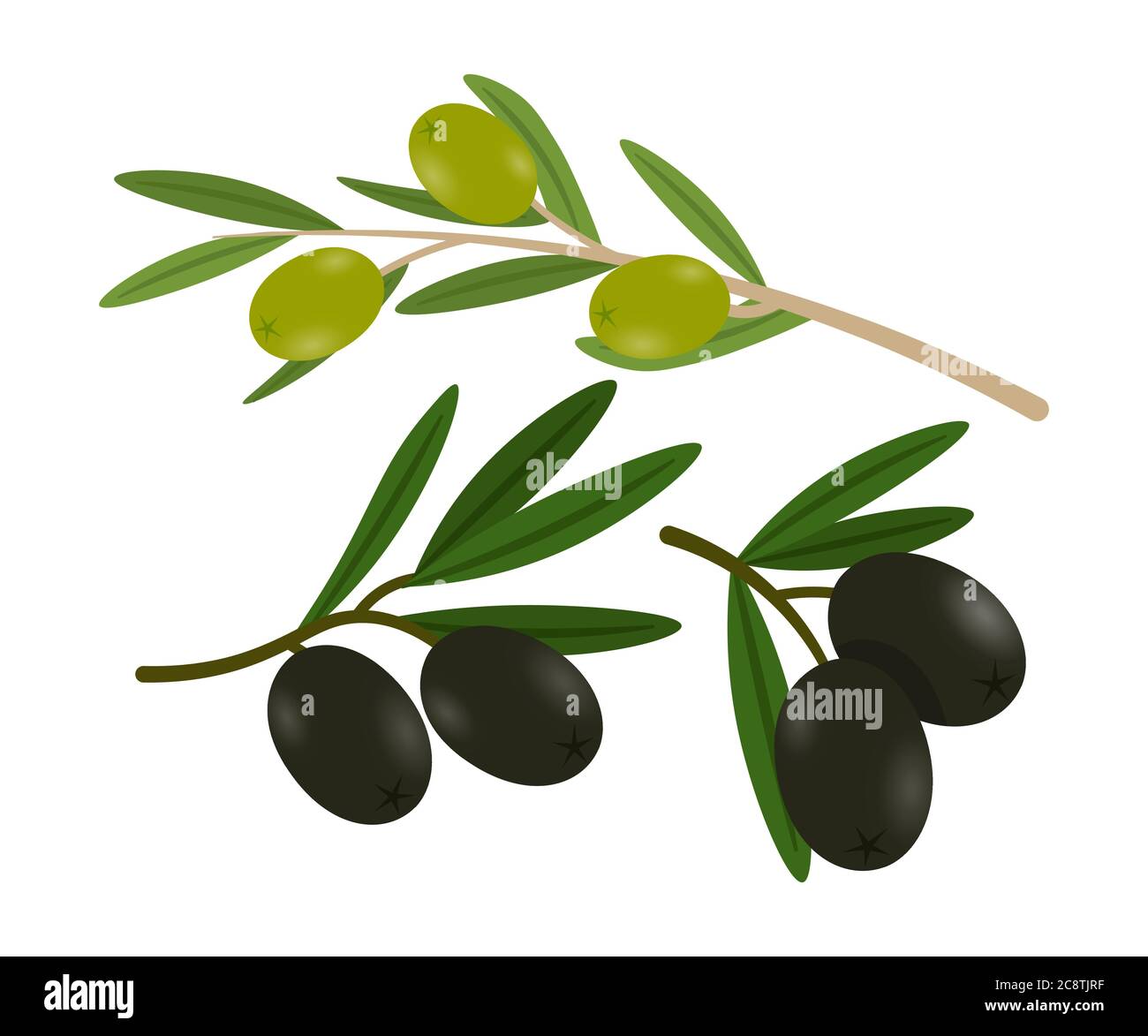 Olives on branches flat vector illustrations set Stock Vector Image ...