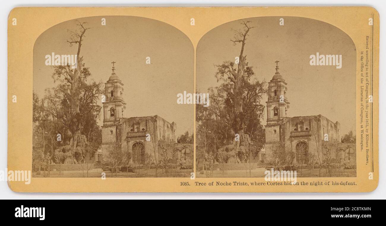 Page 3 Triste High Resolution Stock Photography And Images Alamy Page 3 Triste High Resolution Stock Photography And Images Alamy