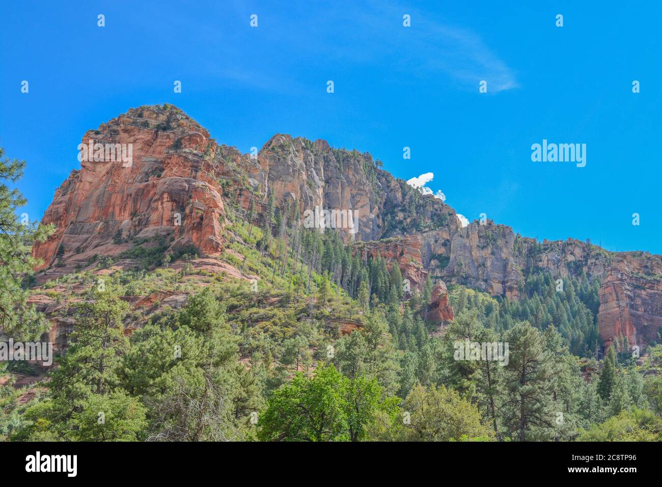 Gorgeous drive of red rock in the Oak Creek Canyon on Coconino National ...