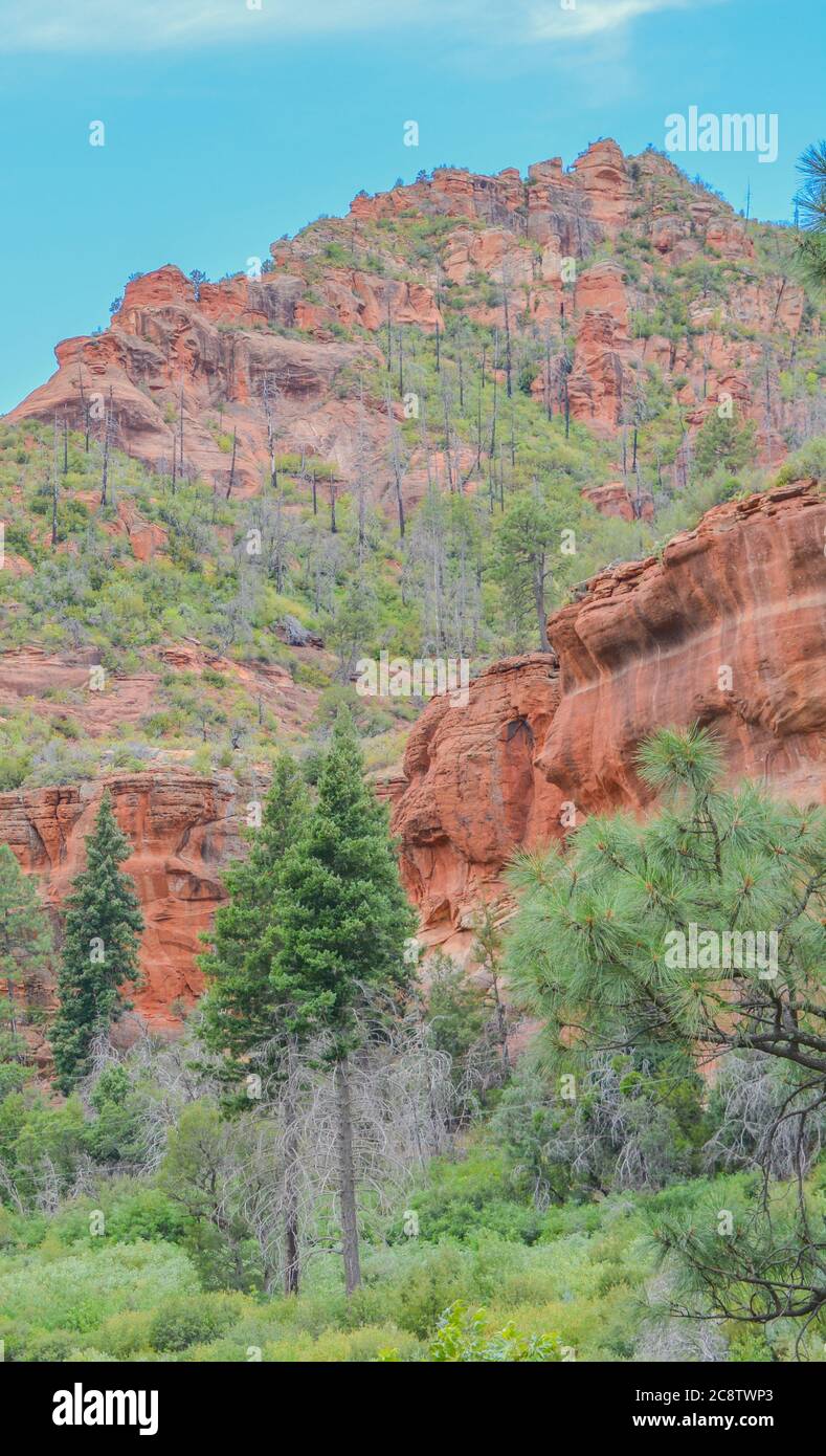 Gorgeous drive of red rock in the Oak Creek Canyon on Coconino National ...