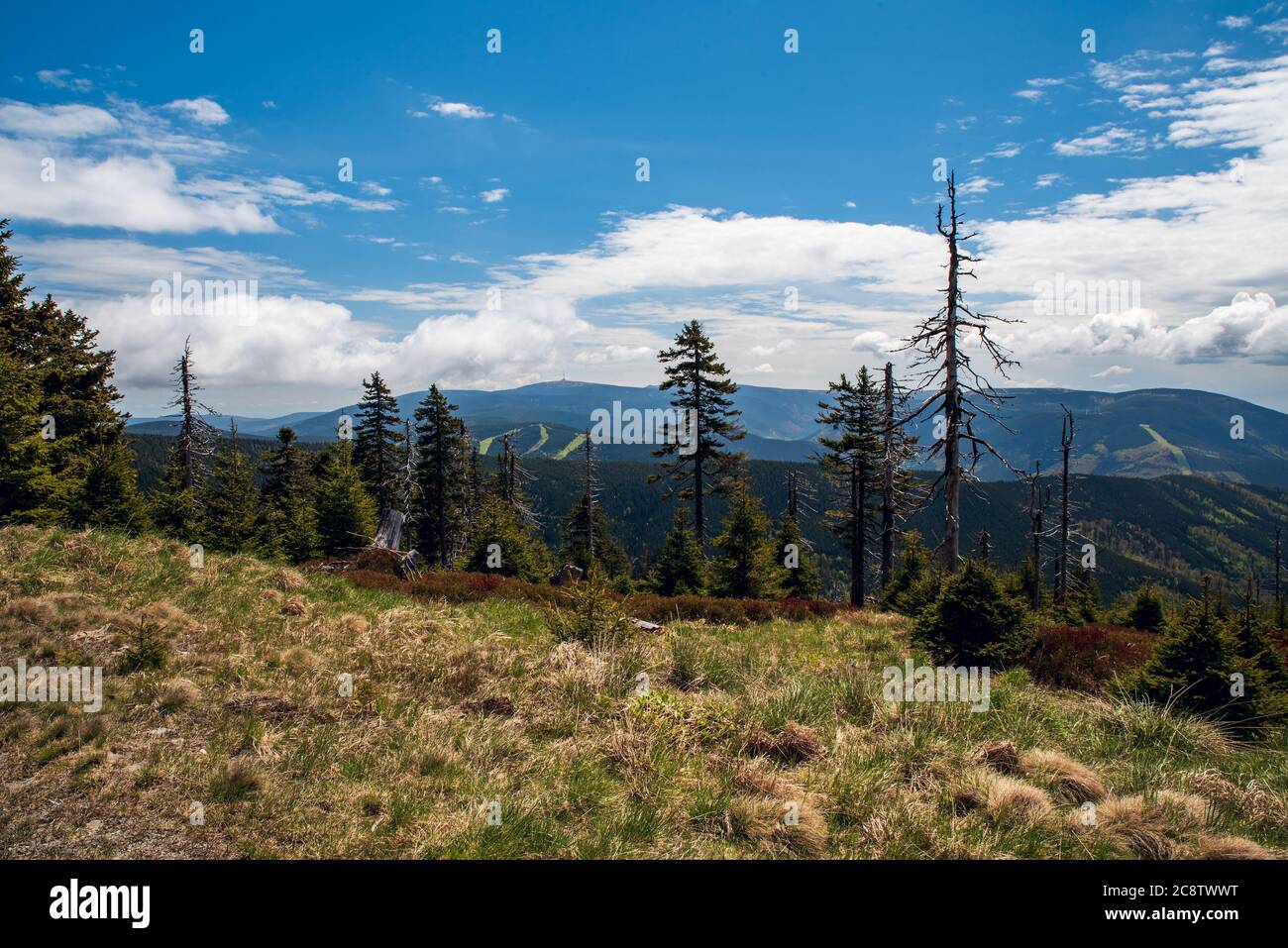 Beautiful Jeseniky mountains scenery with Praded hill from Spaleny vrch hill above Kouty nad Desnou in Czech republic during beautiful springtime day Stock Photo