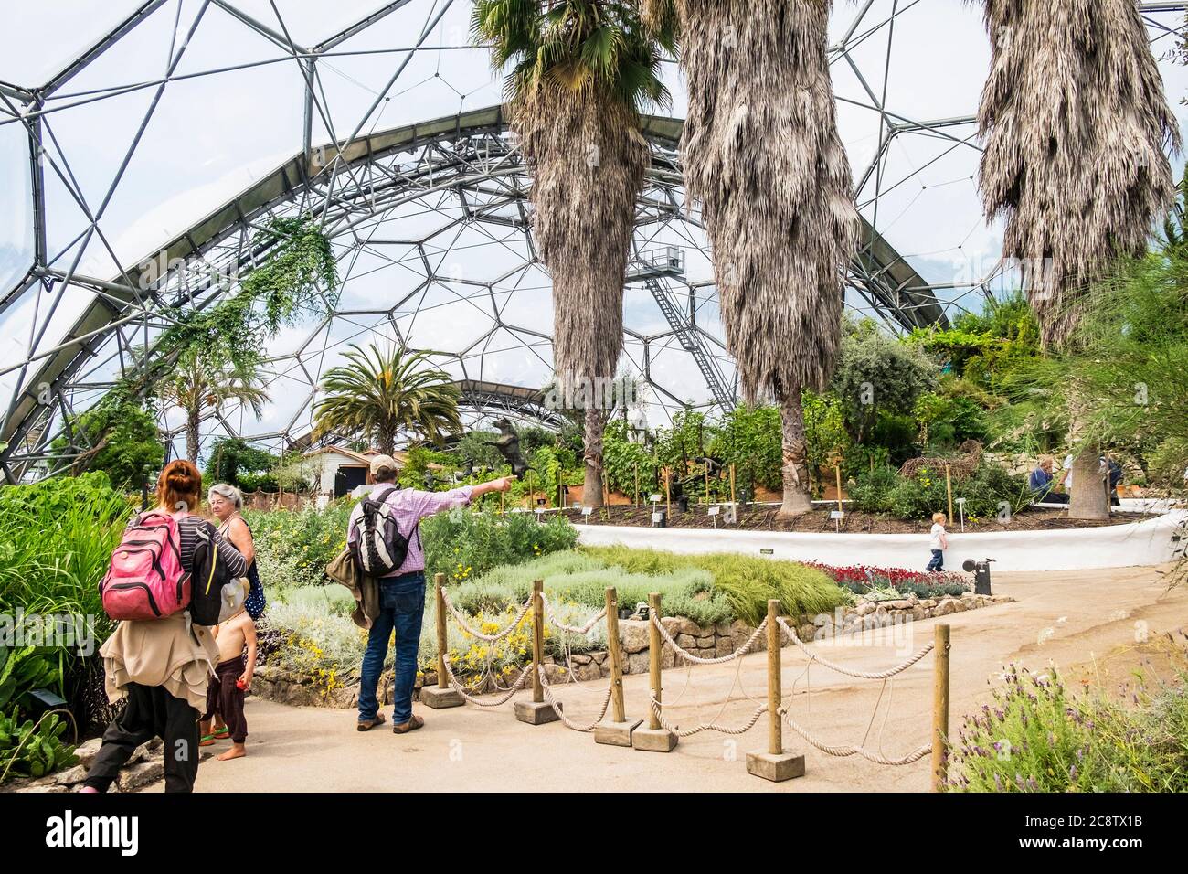 Visitors walking around inside the Mediterranean Biome at the Eden project complex in Cornwall. Stock Photo