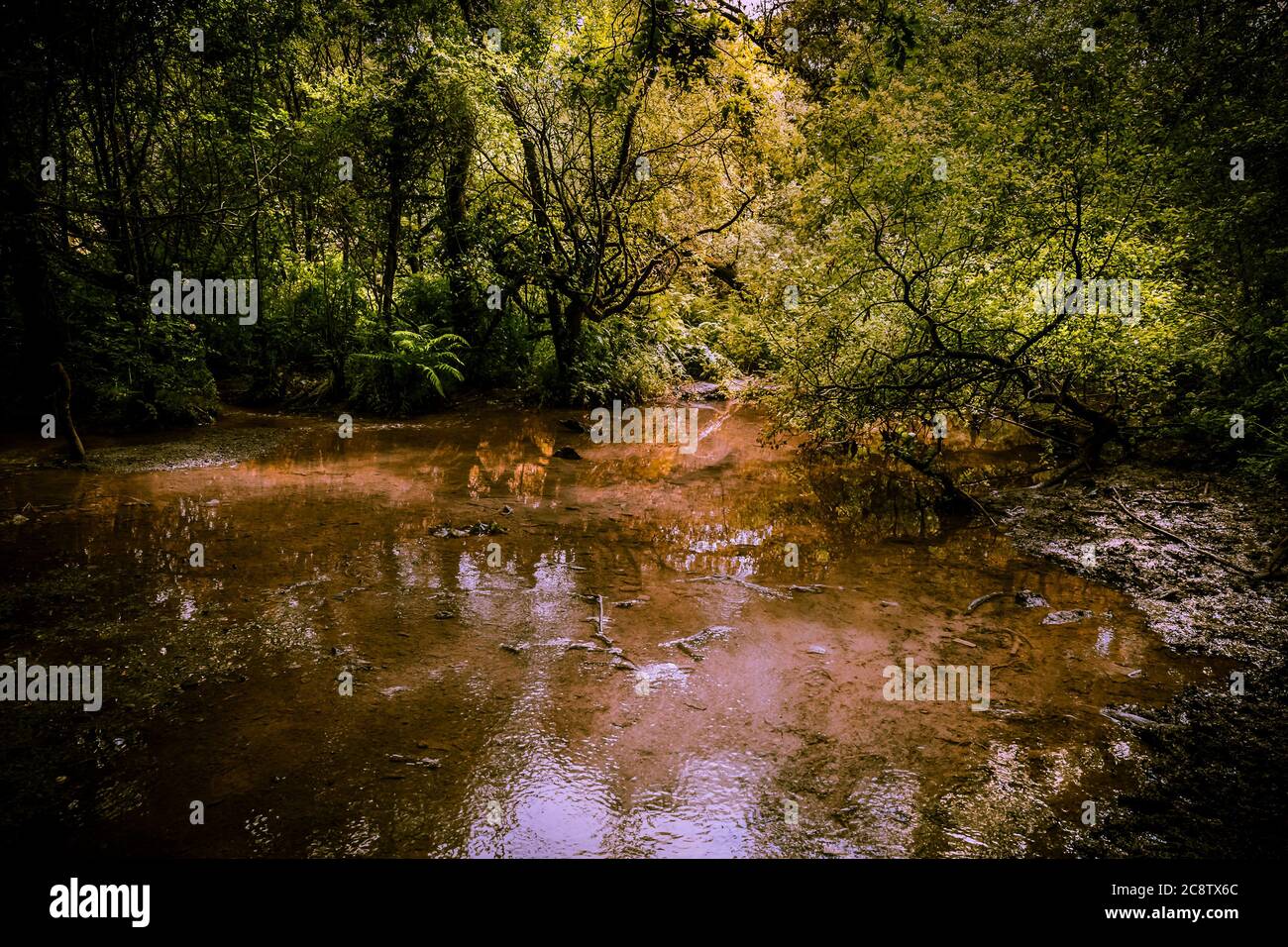 A river flowing through Metha Woods in the Lappa Valley near St Newlyn East in Cornwall. Stock Photo