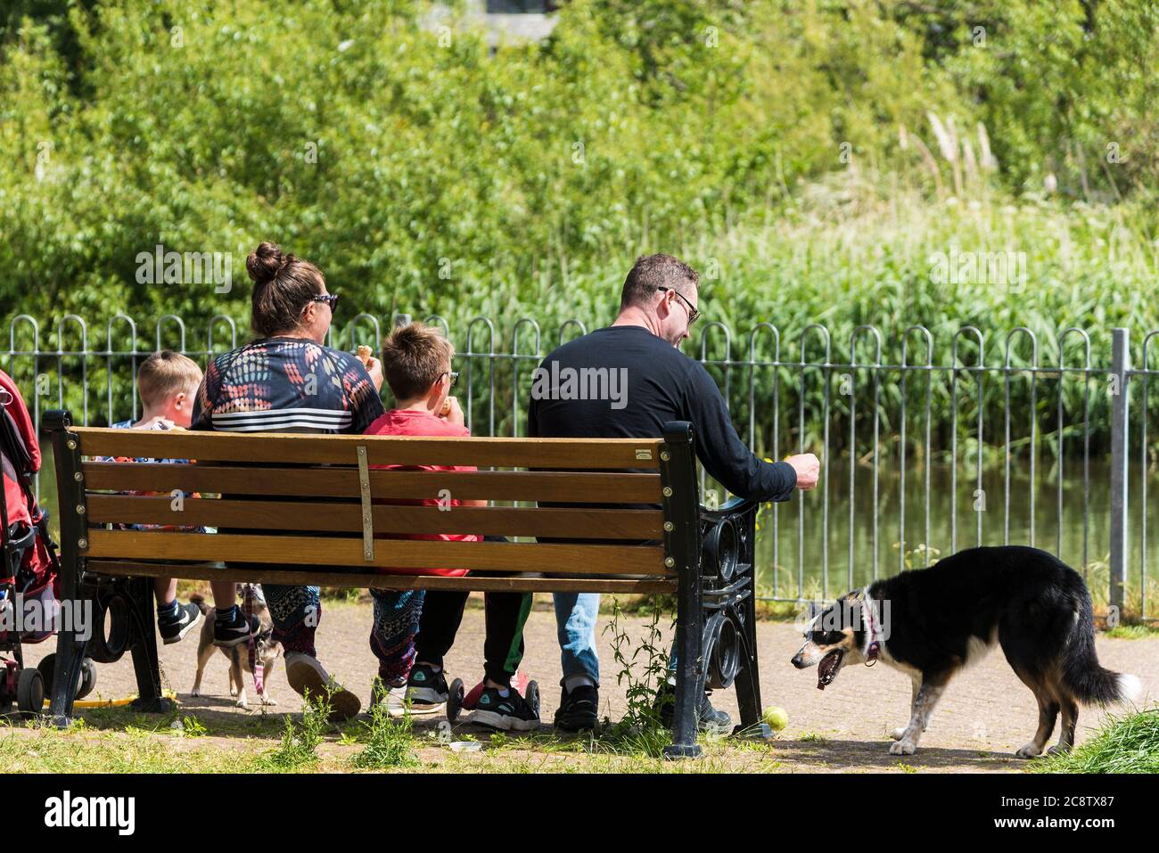 Rear view of a family and their pet dog sitting on a bench in Trenance Gardens in Newquay in Cornwall. Stock Photo