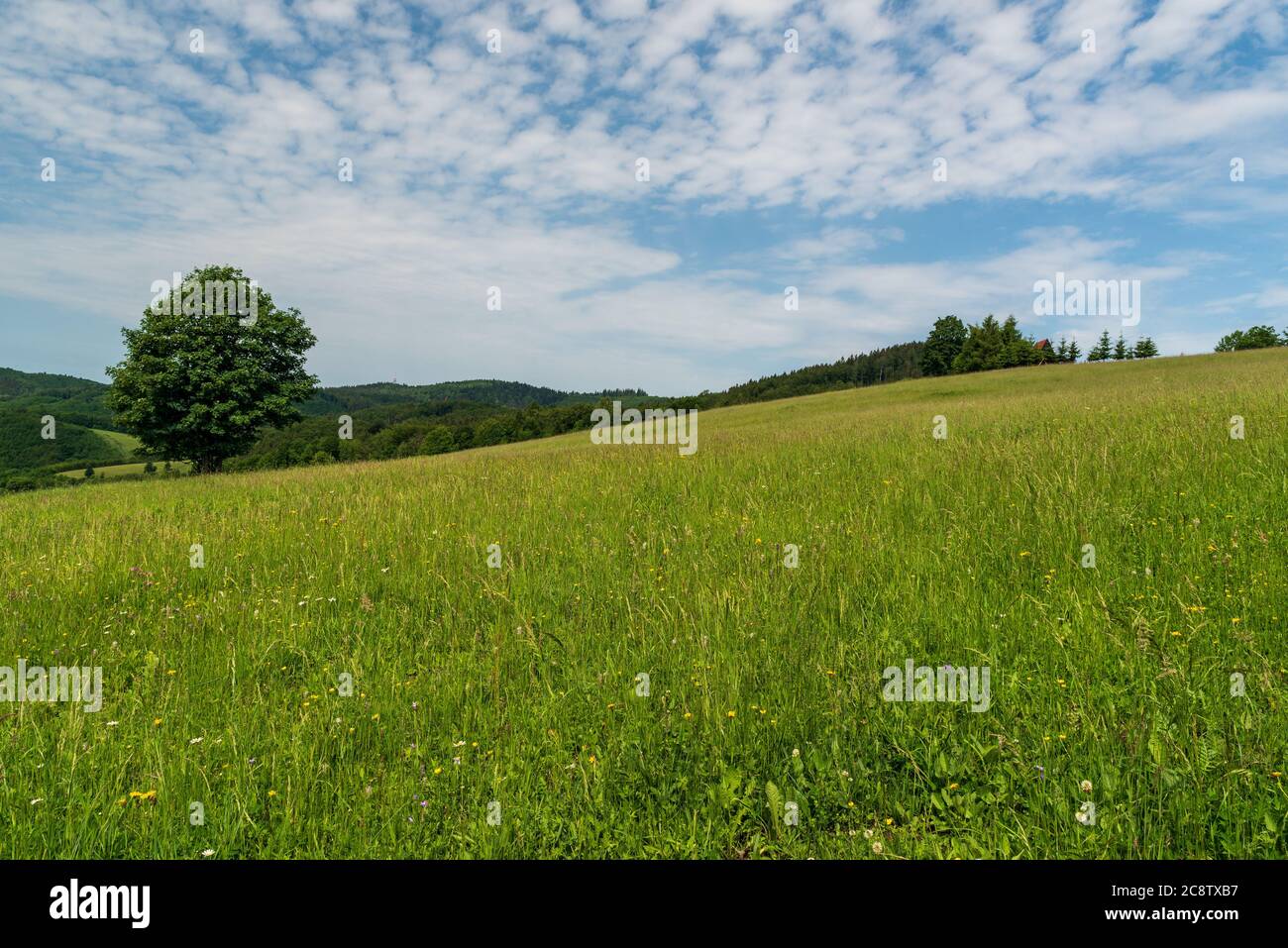 Beautiful Bile Karpaty mountains above Nedasova Lhota village on czech - slovakian borderland with meadows, trees and hills covered by forest during s Stock Photo