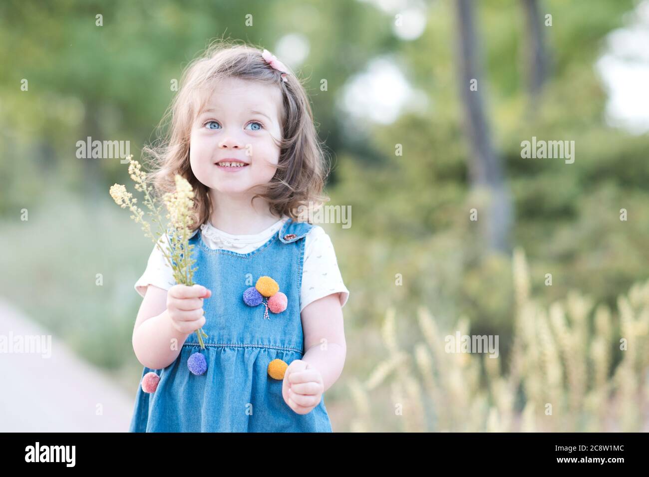 Cute baby girl 2-3 year old posing in park holding flowers closeup. Wearing trendy denim dress. Summer season. Stock Photo