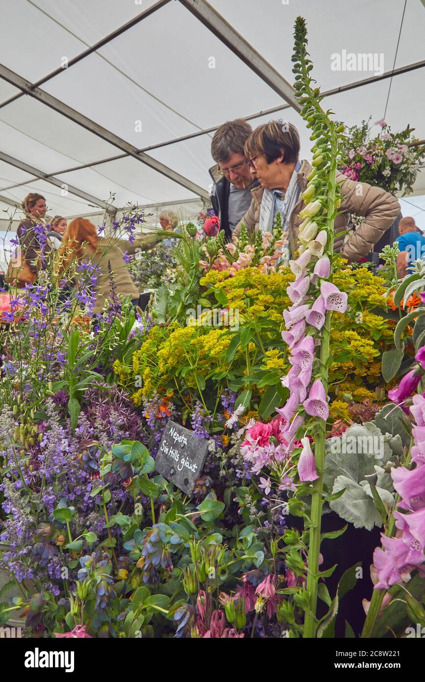 Plants on display in a marquee, at the Royal Bath and West Show, an annual agricultural show, near Shepton Mallet, Somerset, Great Britain. Stock Photo