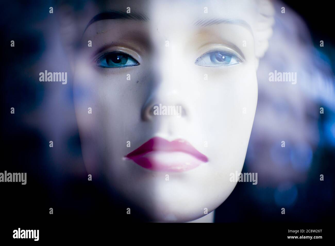 Portrait of a female mannequin. Serious expression Stock Photo Alamy