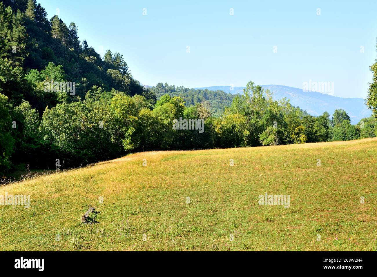 Prairie in the Caurel mountains in Galicia, Spain Stock Photo