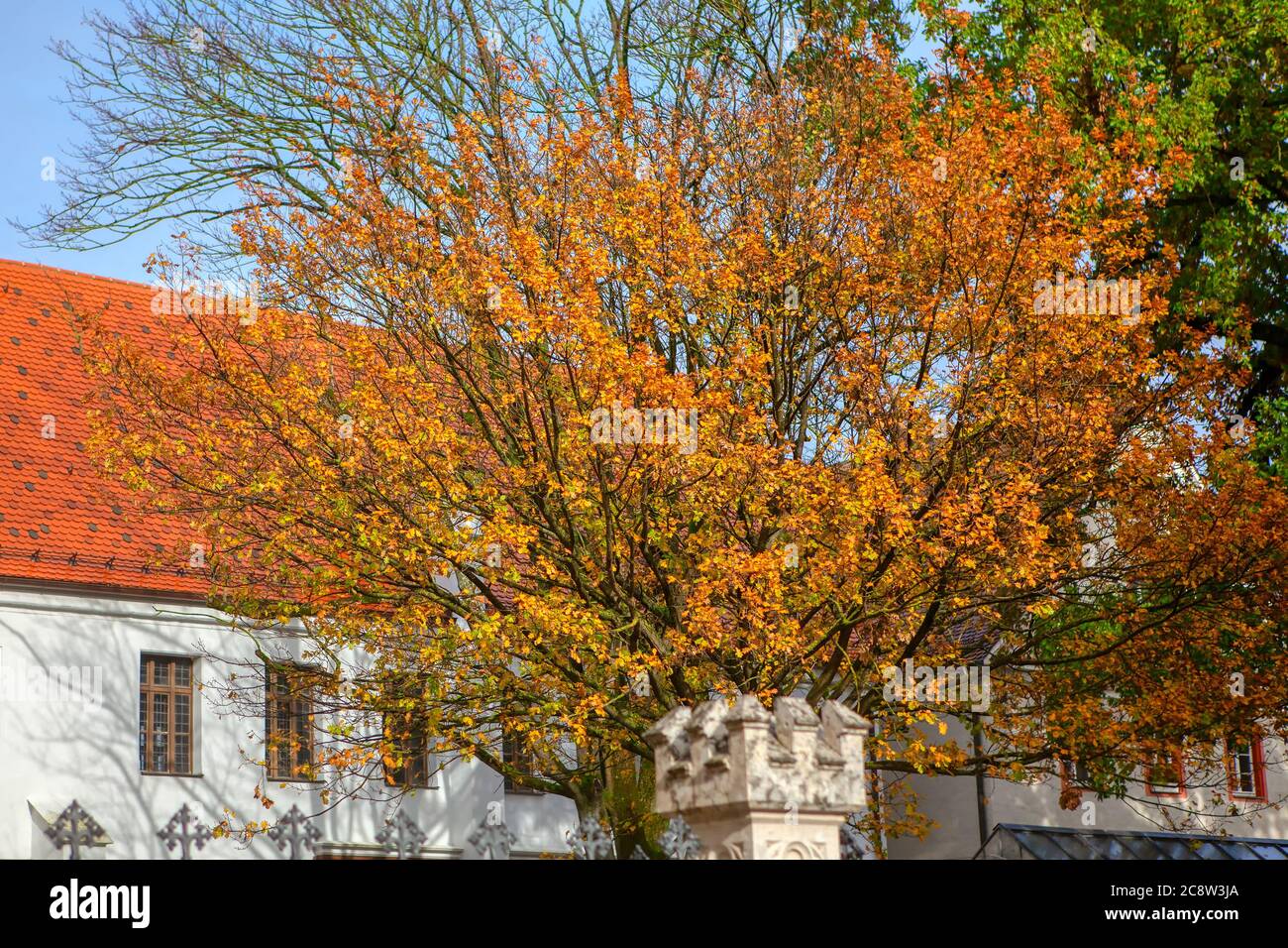 Mansion with tiled roof in the autumn park Stock Photo - Alamy