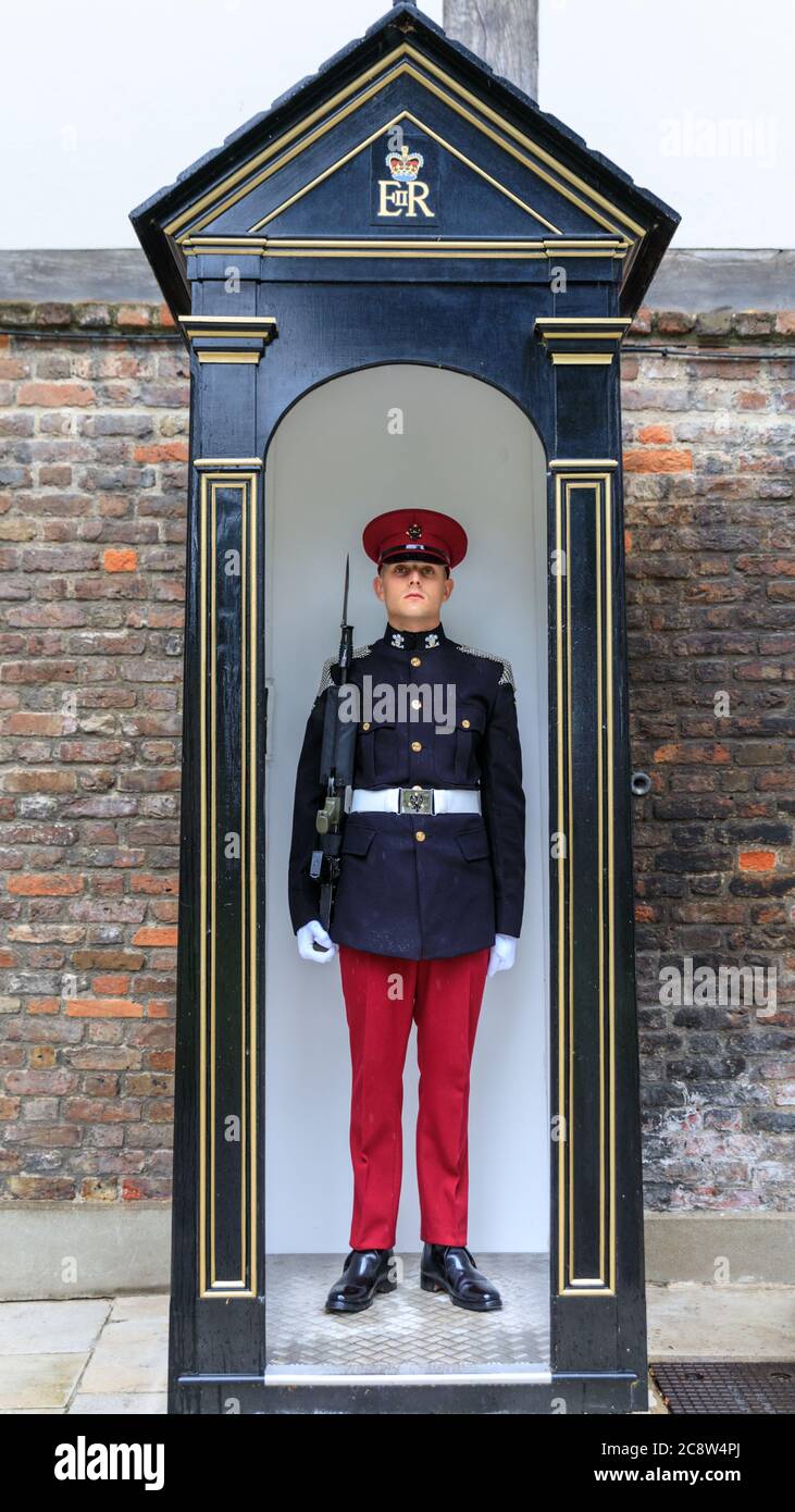 London guardsman hires stock photography and images Alamy
