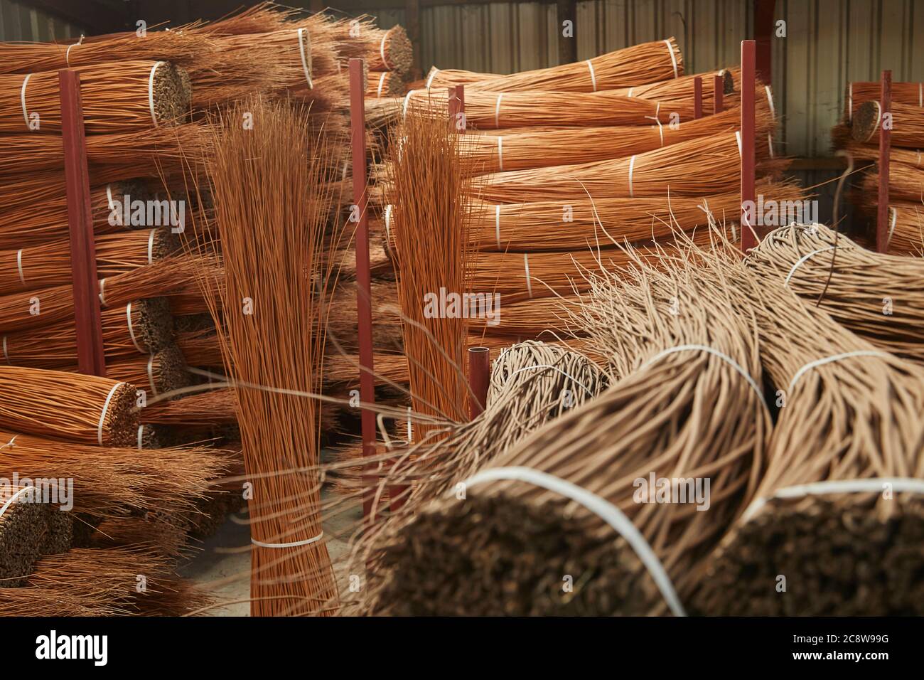 Piles of harvested willow stems in storage ready for basket weaving, Westonzoyland, near Bridgwater, Somerset, Great Britain. Stock Photo