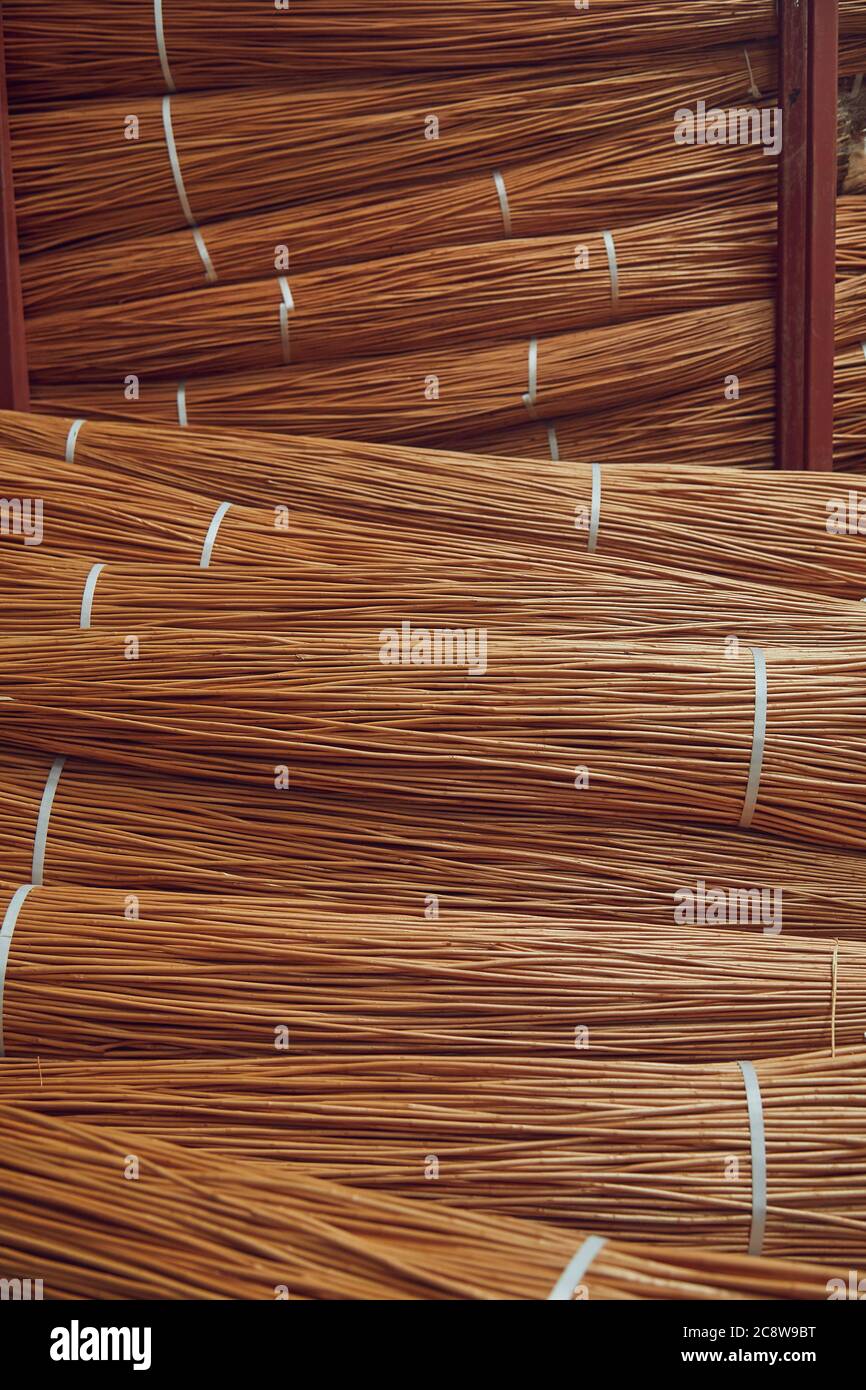 Piles of harvested willow stems in storage ready for basket weaving, Westonzoyland, near Bridgwater, Somerset, Great Britain. Stock Photo