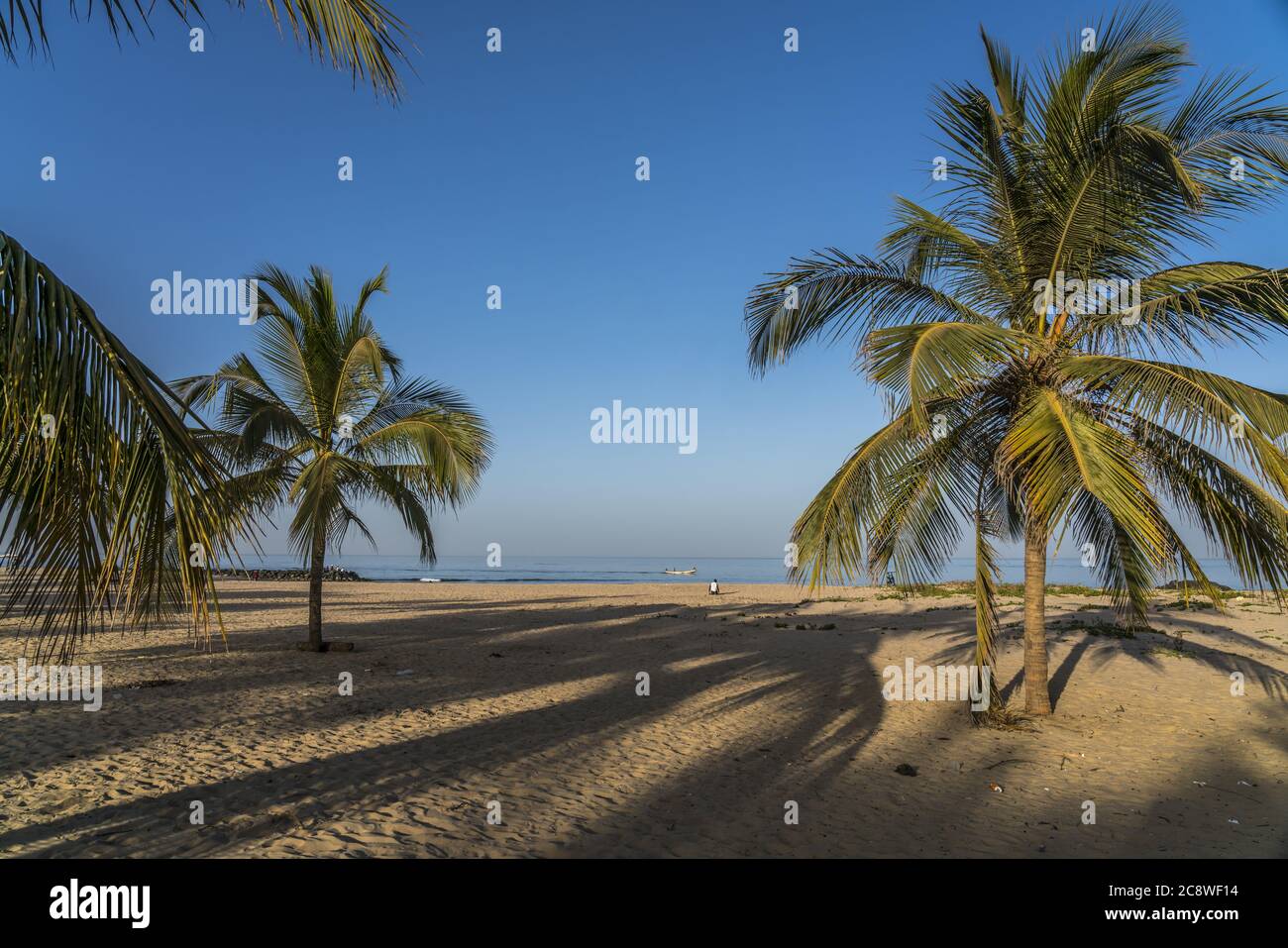 Kokospalmen am Strand von Cape Point, Bakau, Gambia, Westafrika  |  palm fringed Cape Point beach, Bakau, Gambia, West Africa, | usage worldwide Stock Photo