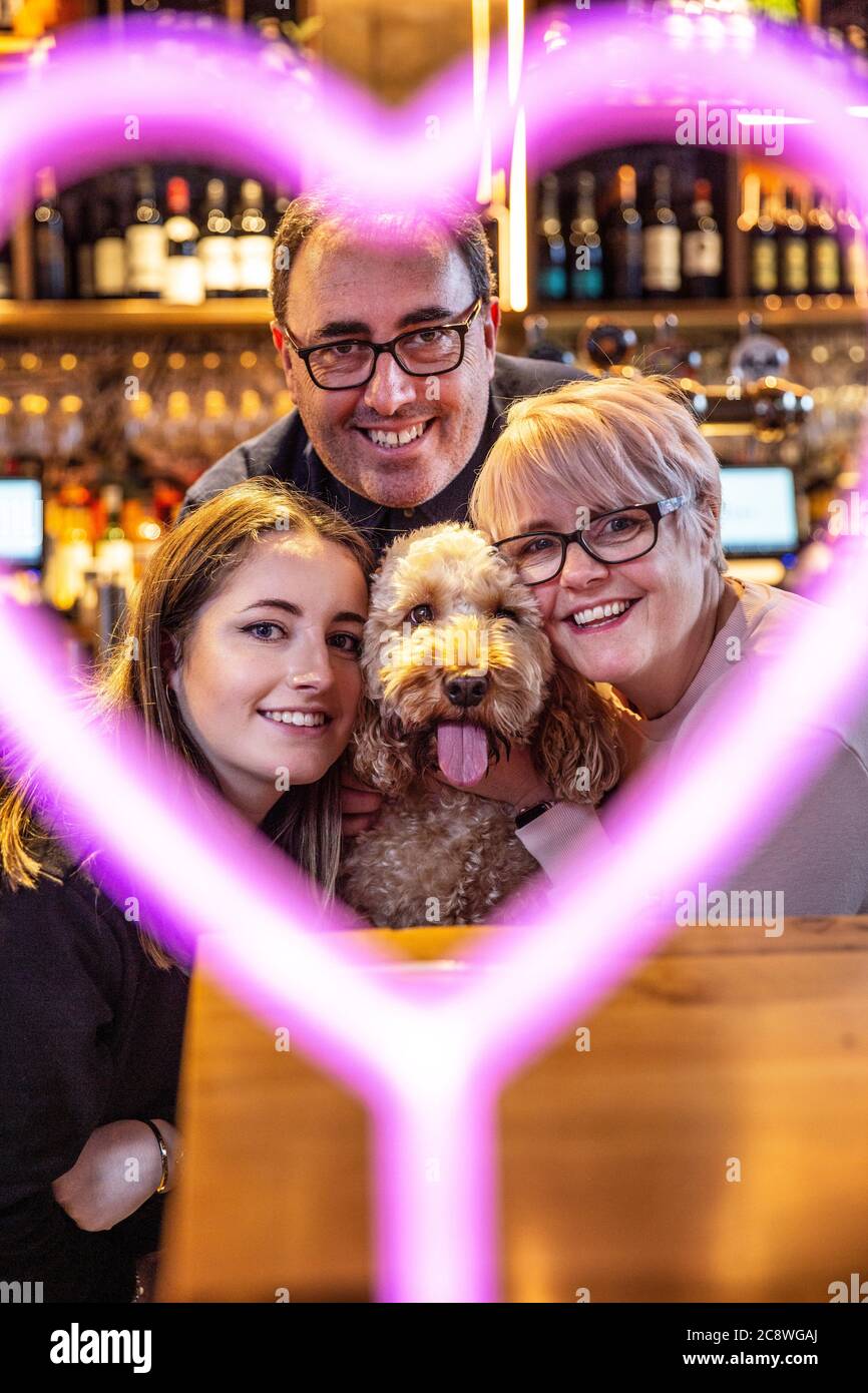 Cockapoo cafe hi-res stock photography and images - Alamy