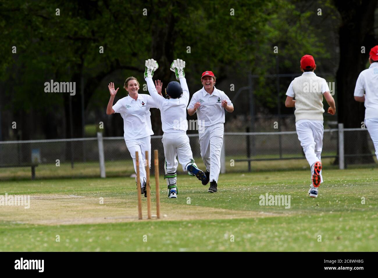 Players celebrate the dismissal of a batsman during an under 16s cricket match in Victoria, Australia Stock Photo